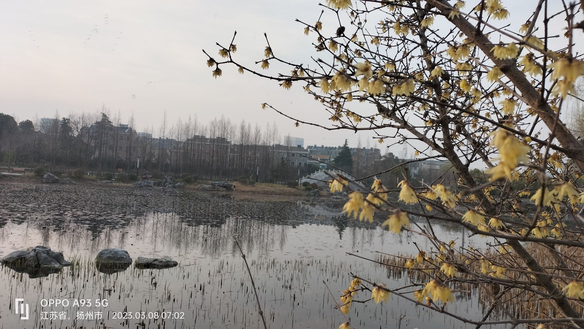 蒋王半岛公园旅行图片 3