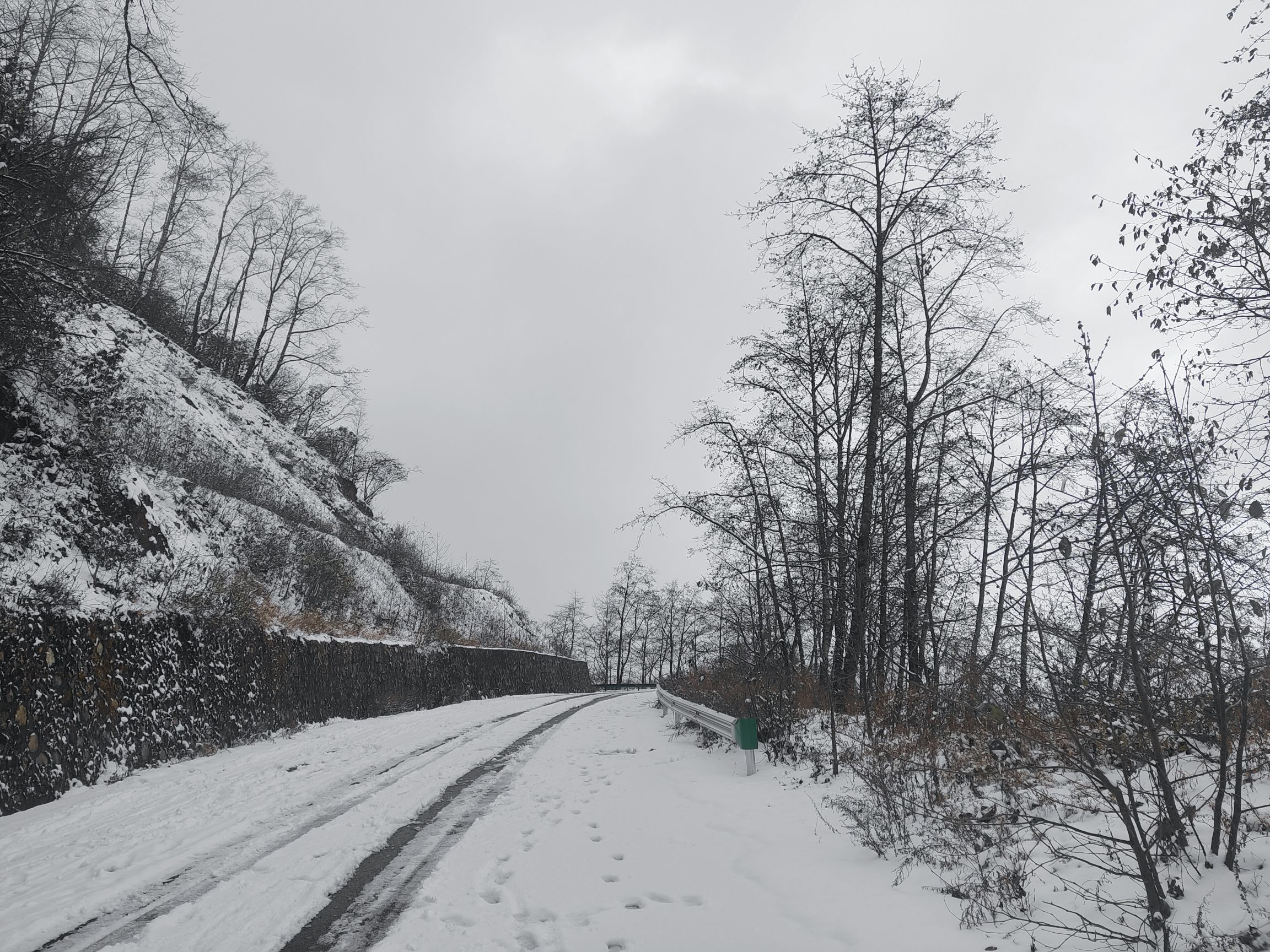 龙肘山旅行图片 1