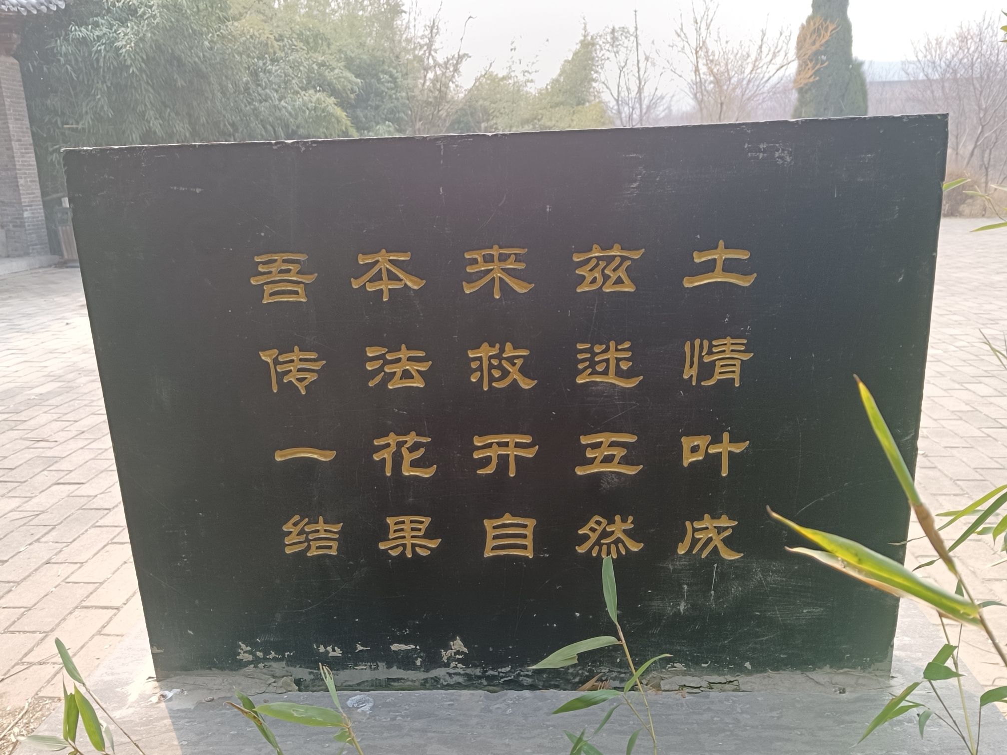 五花寺塔旅行图片 2