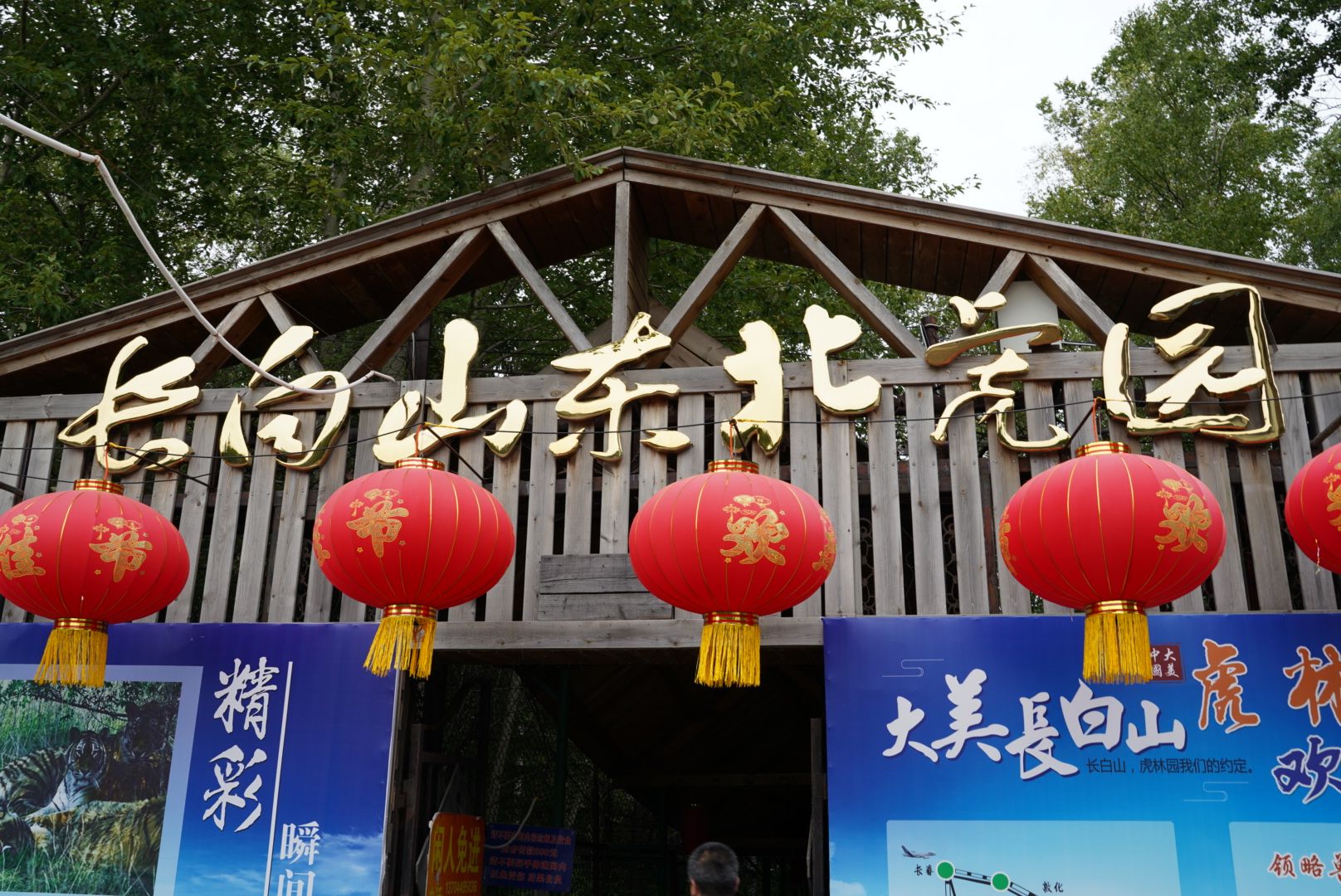 长白山东北虎林园旅行图片 1