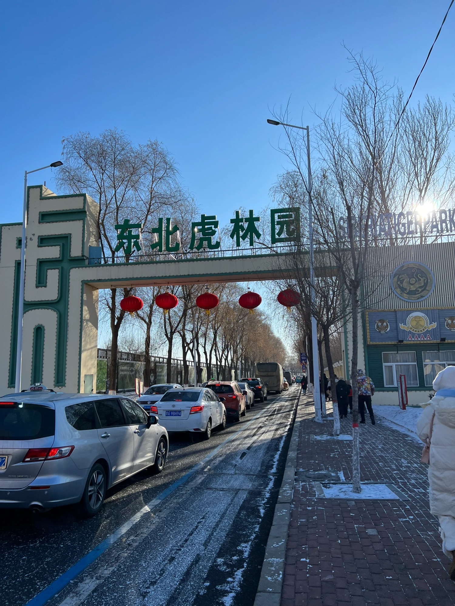 长白山东北虎林园旅行图片 1