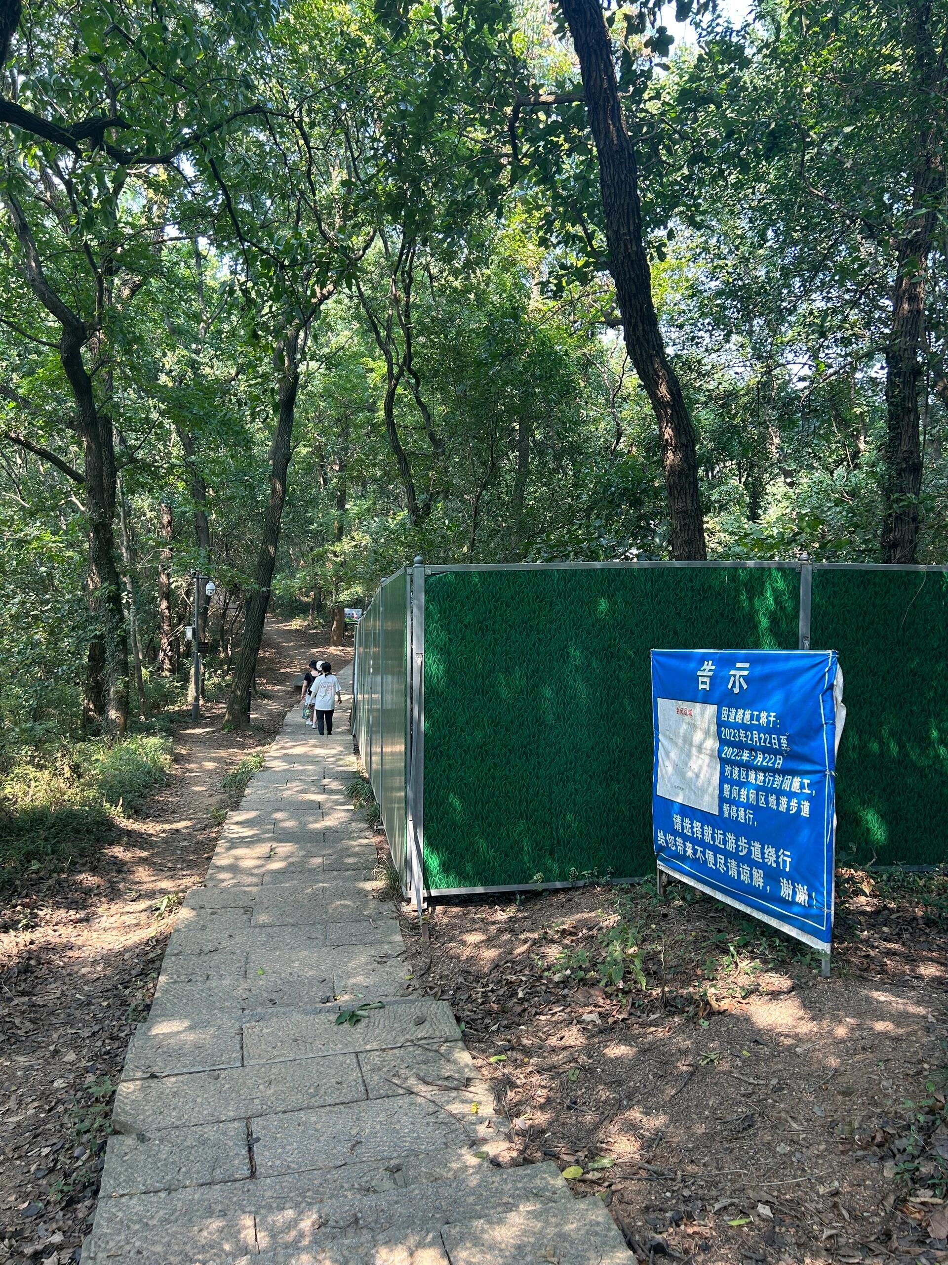 玉皇山国家森林公园旅行图片 2