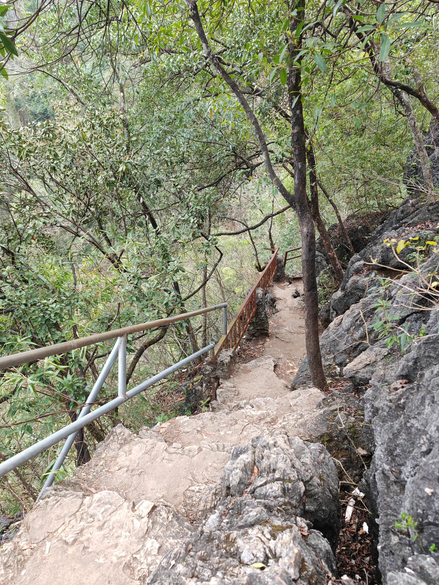 老寨山公园旅行图片 1