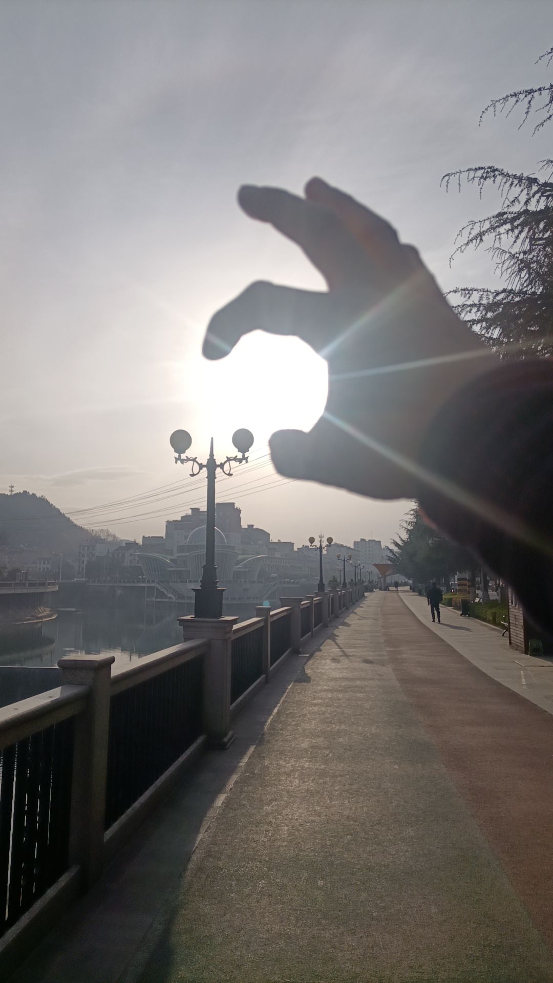 陈氏家族旅行图片 2