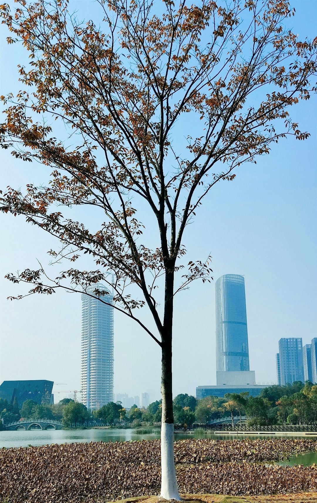 赣州城市中央公园