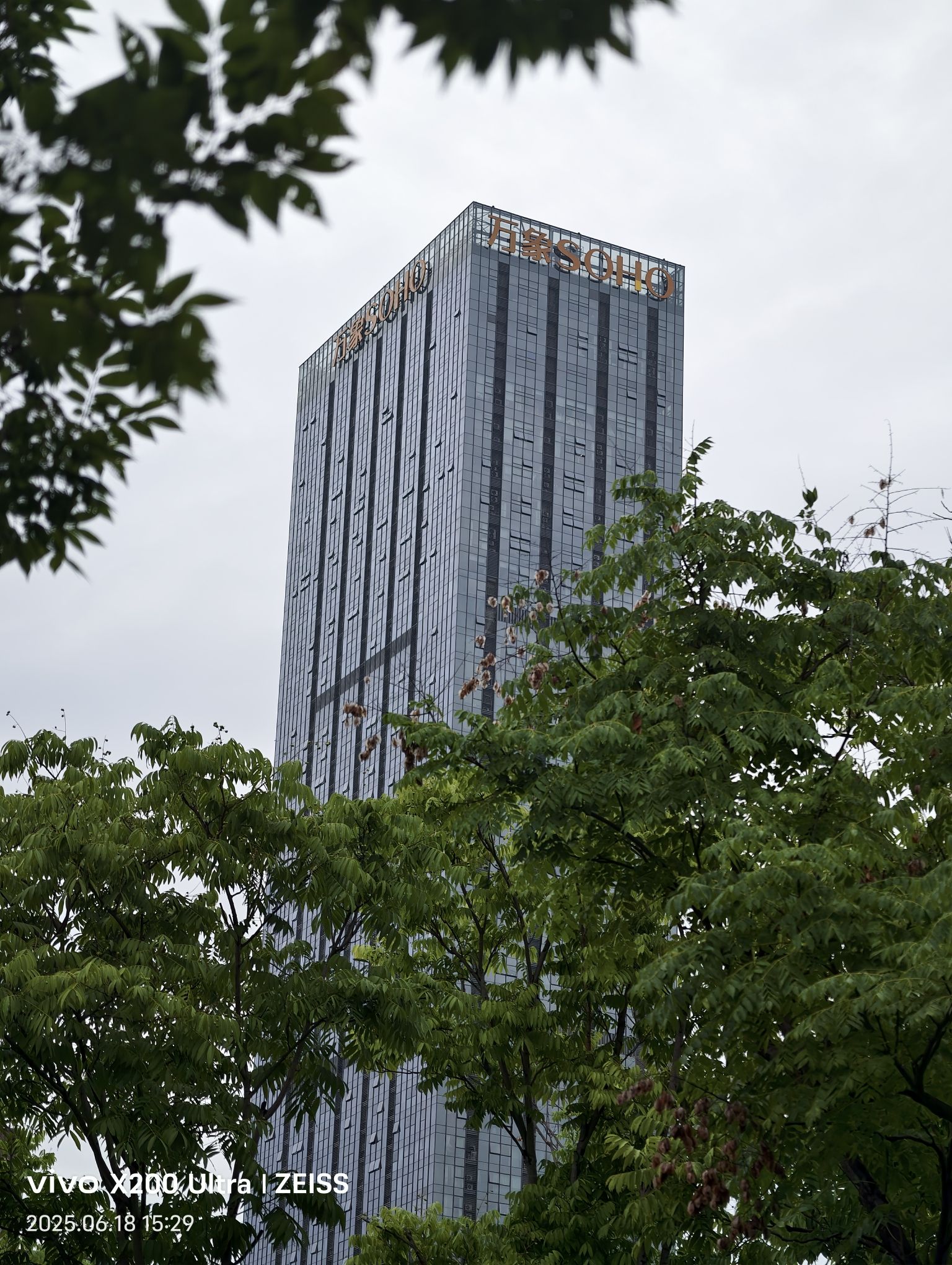 赣州城市中央公园健康主题公园旅行图片 1
