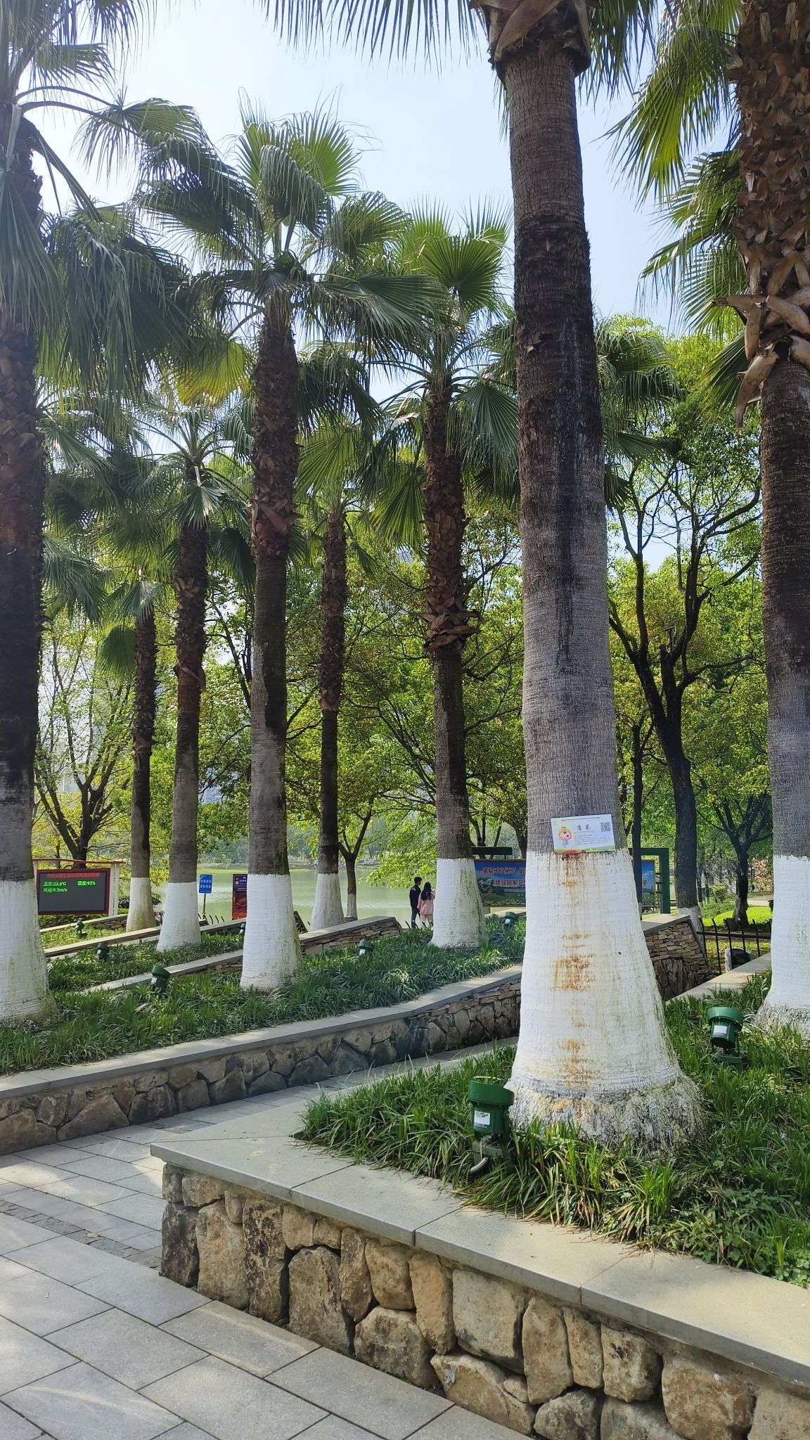 赣州城市中央公园健康主题公园旅行图片 1