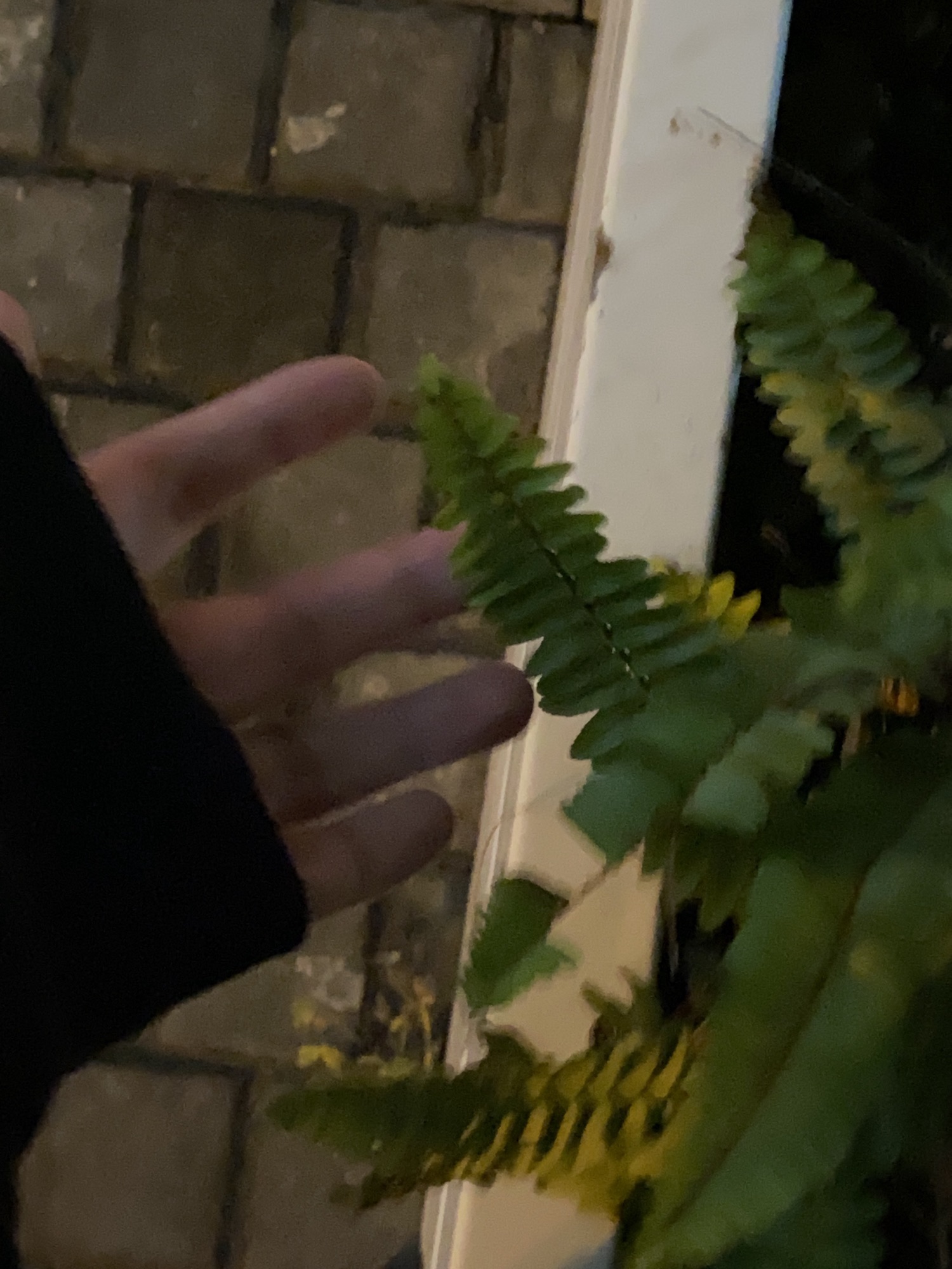 洞泾镇健康主题广场旅行图片 2