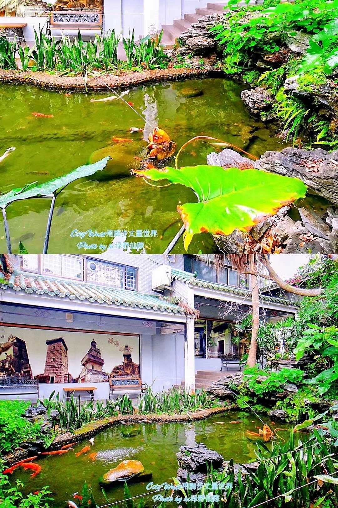 九洲城(不对外开放)旅行图片 2