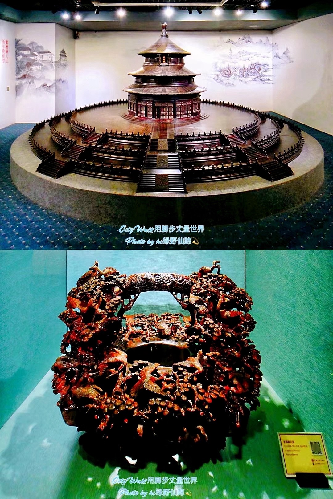 九洲城(不对外开放)旅行图片 3