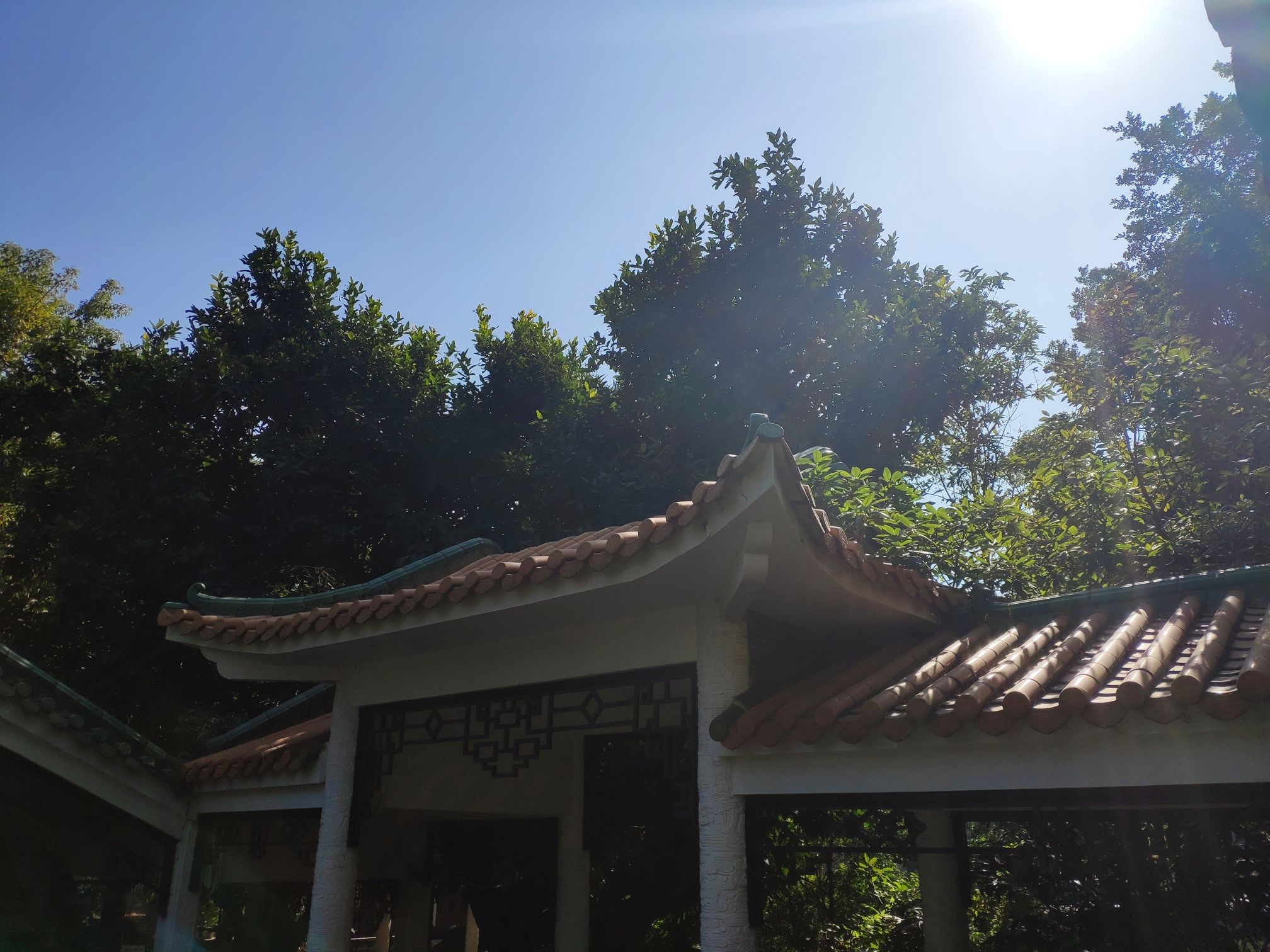 九洲城(不对外开放)旅行图片 3