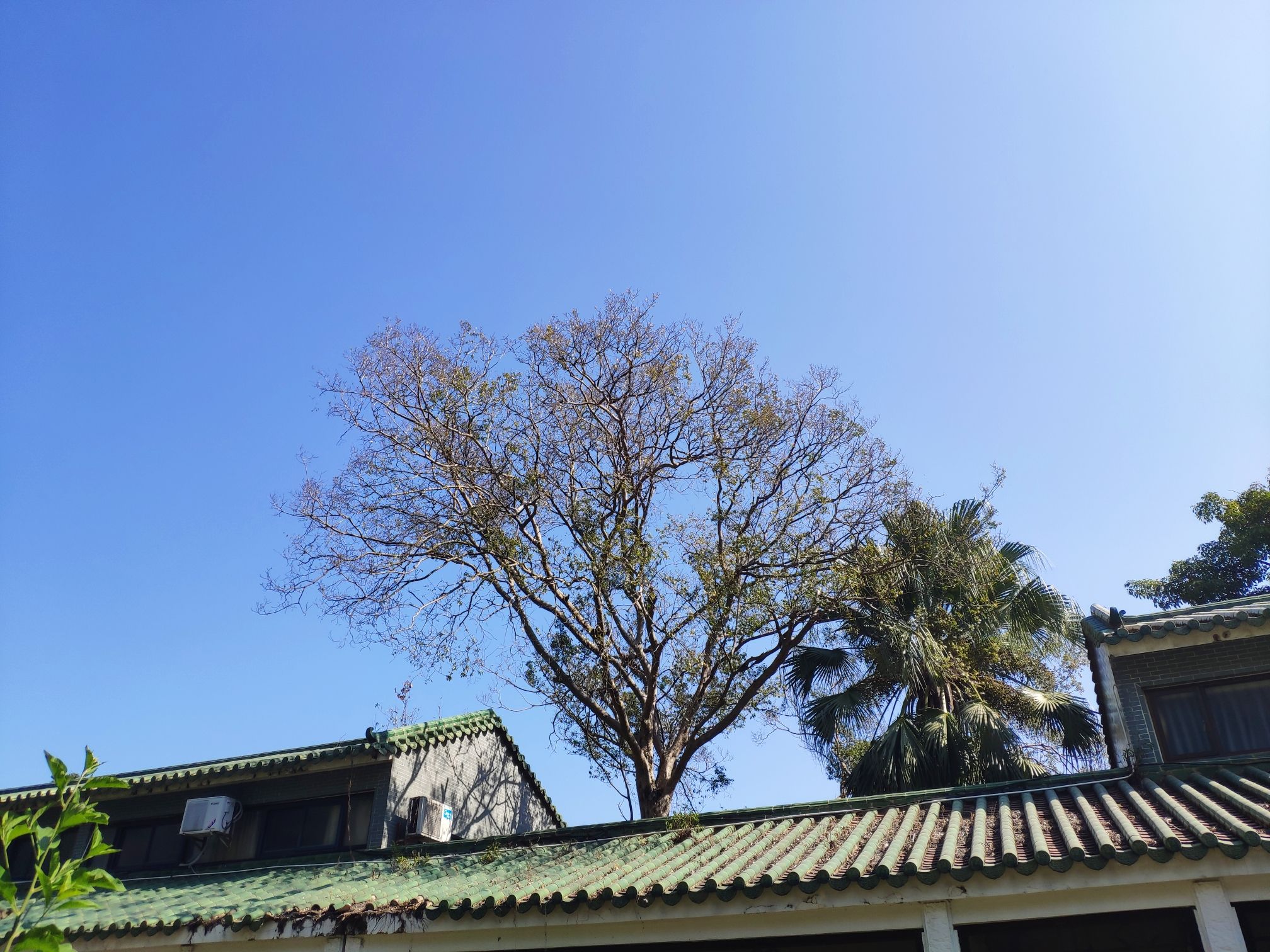 九洲城(不对外开放)旅行图片 2