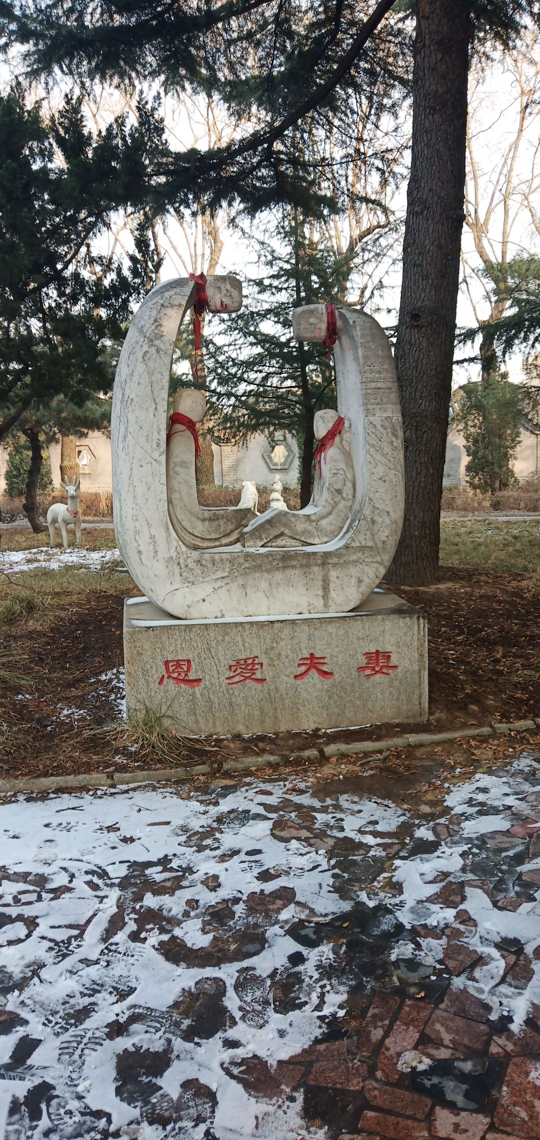 新泰和圣园旅行图片 2