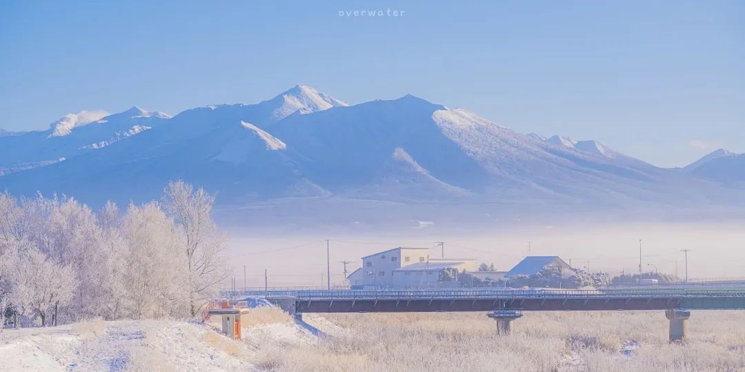白莲广场旅行图片 2