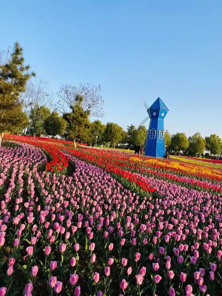 白河滩湿地公园旅行图片 3