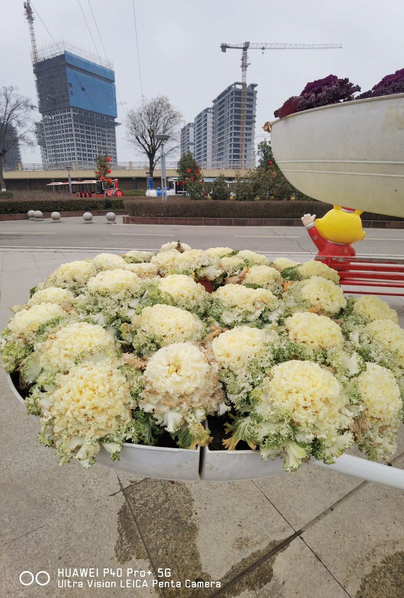 白河滩湿地公园旅行图片 2