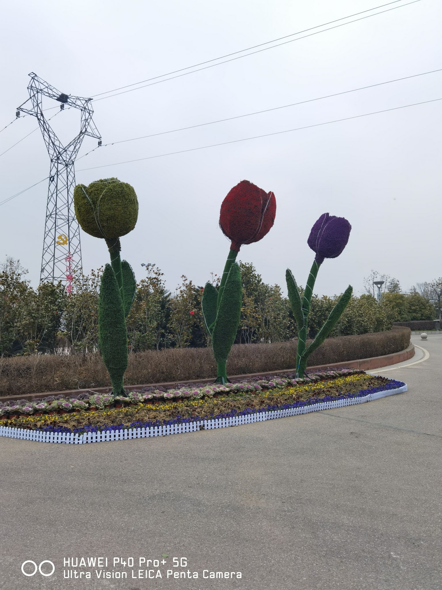 白河滩湿地公园旅行图片 3