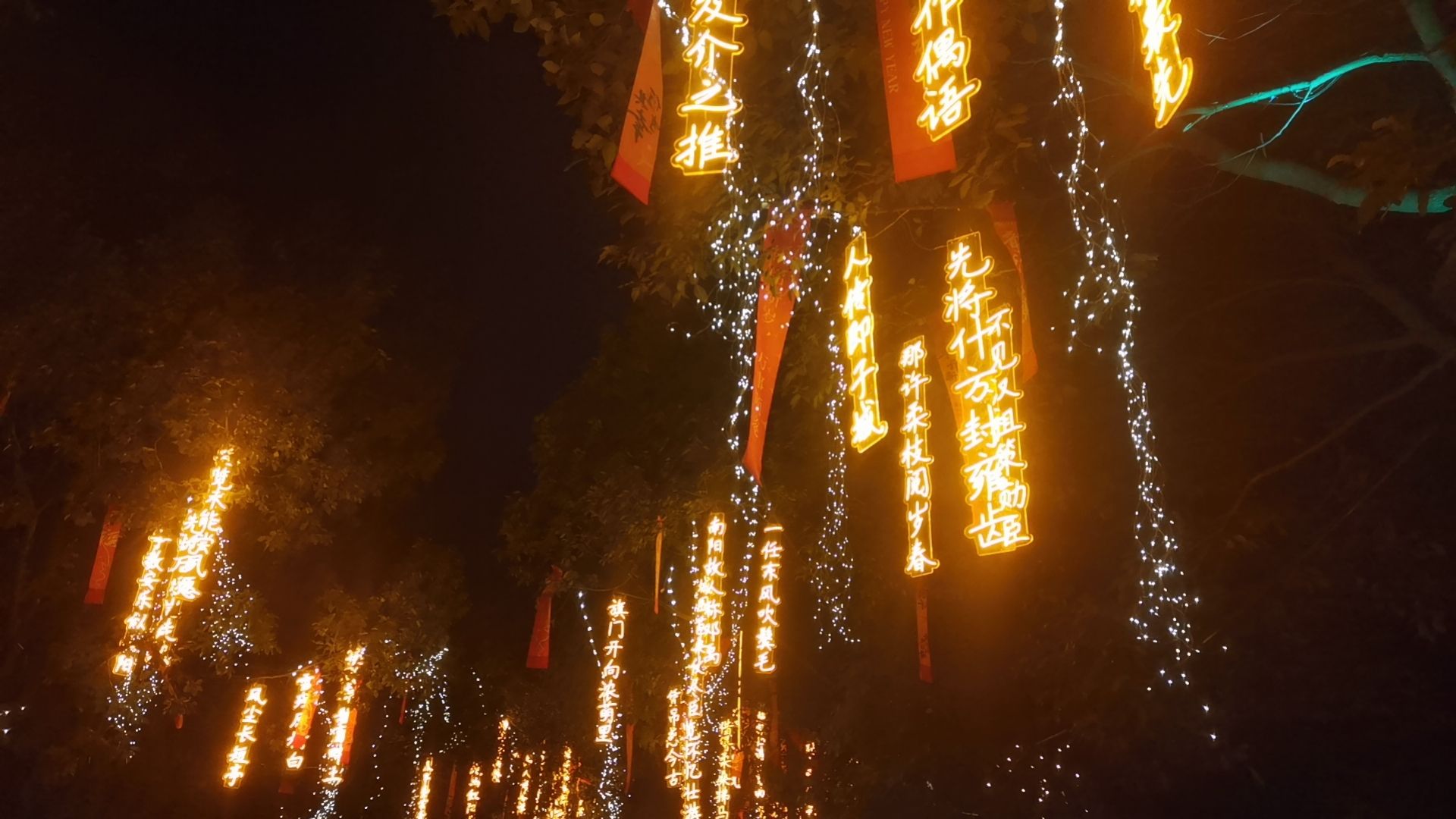 白河滩湿地公园旅行图片 2