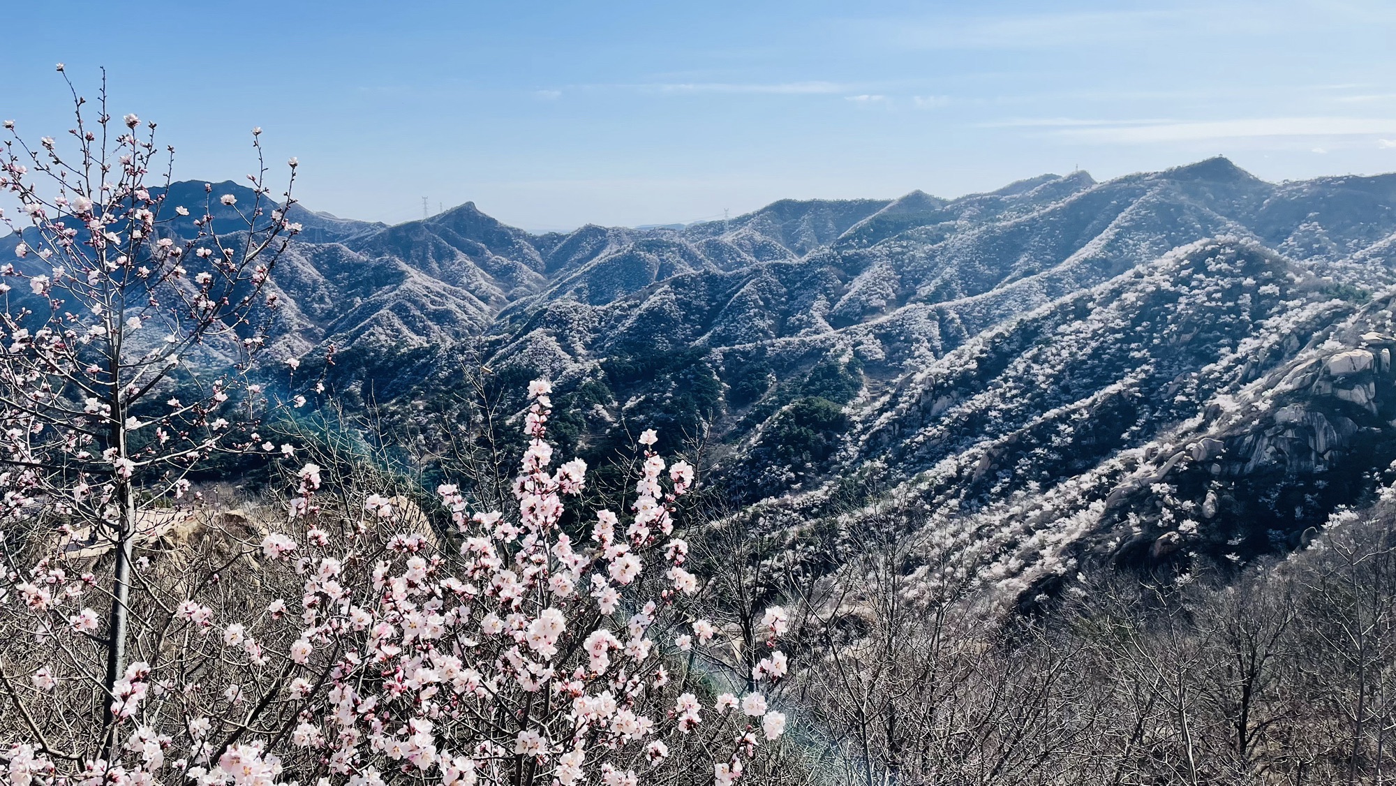 银山塔林景区旅行图片 3