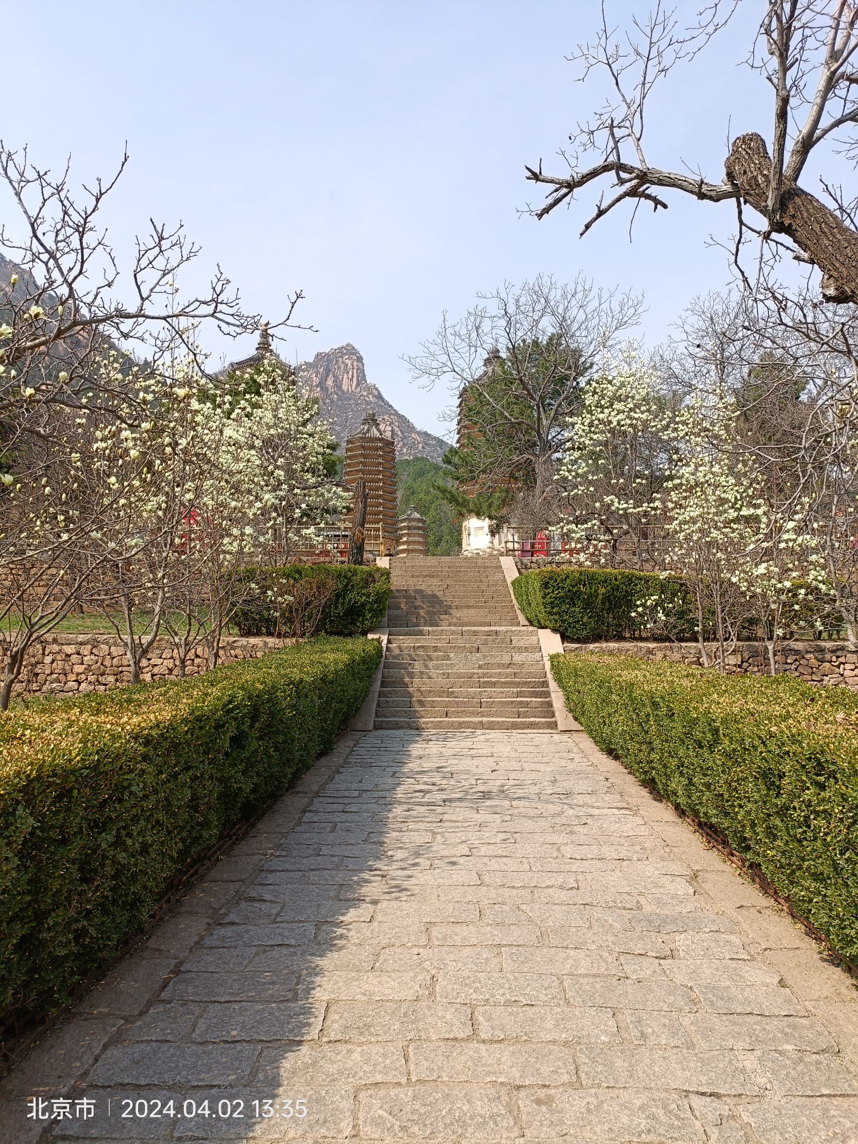 银山塔林景区旅行图片 2