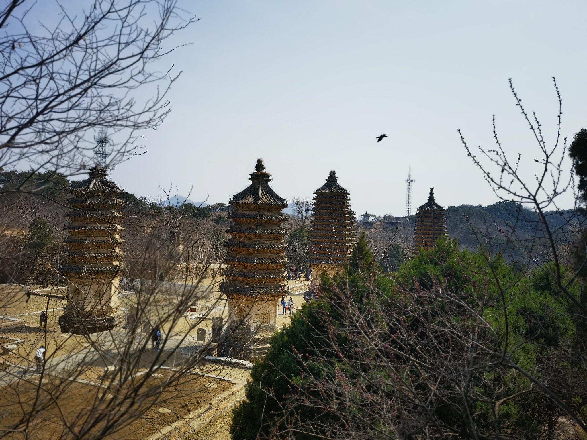 银山塔林景区旅行图片 1