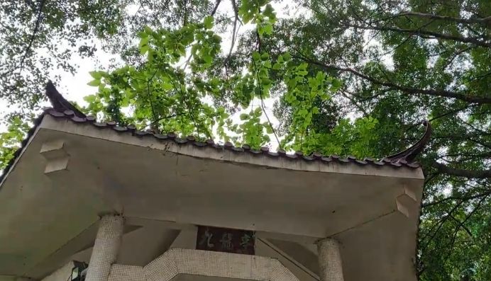 庆丰九龙公园旅行图片 1