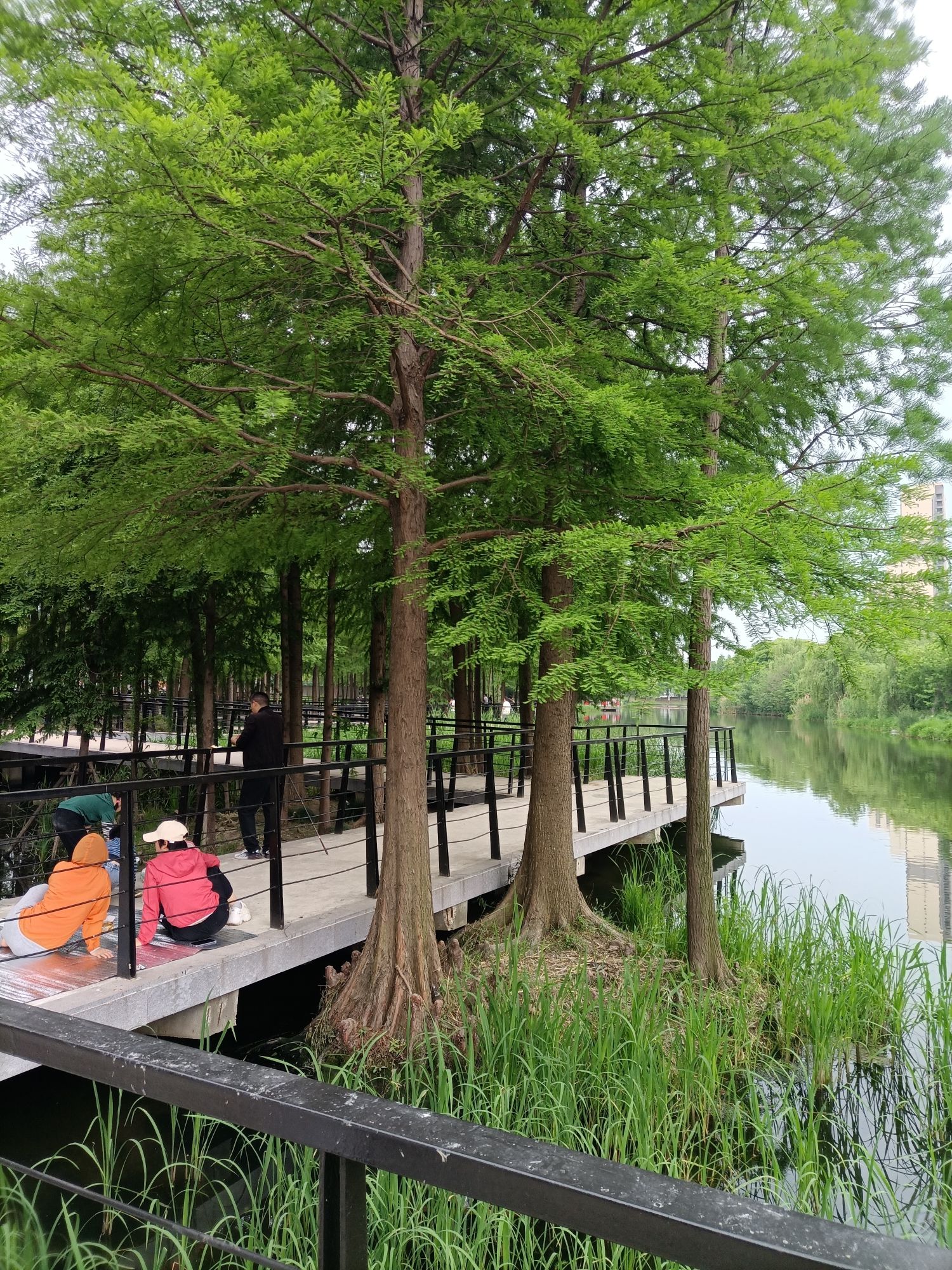 儿童拓展公园旅行图片 3