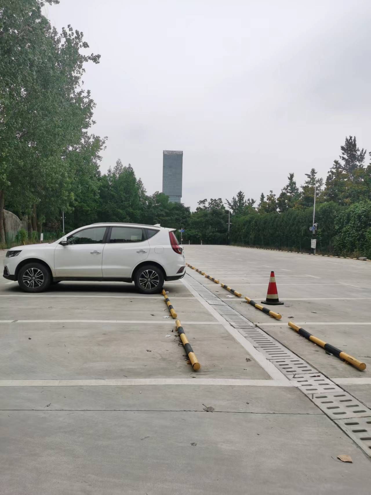 儿童拓展公园旅行图片 1