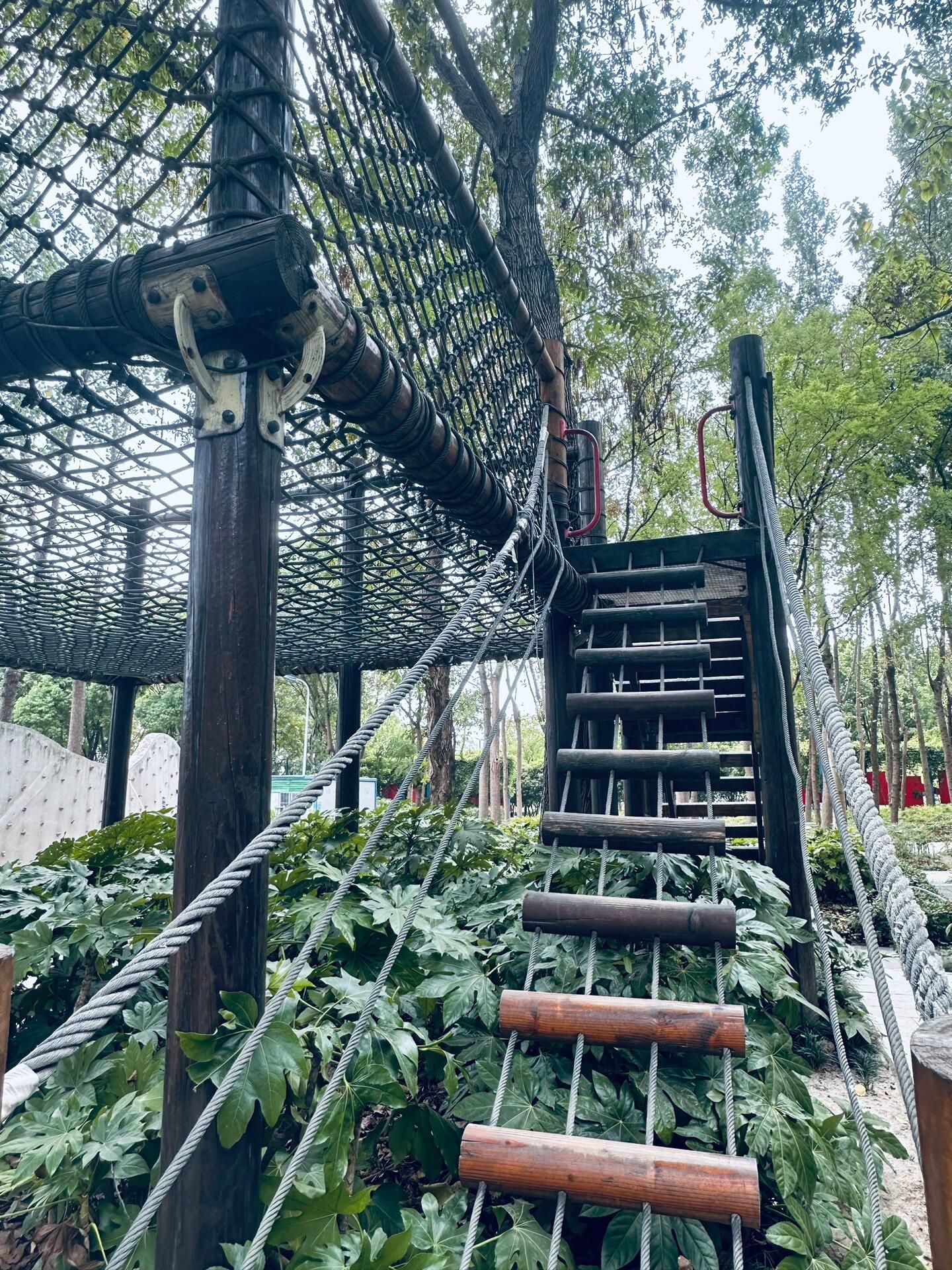 儿童拓展公园旅行图片 3