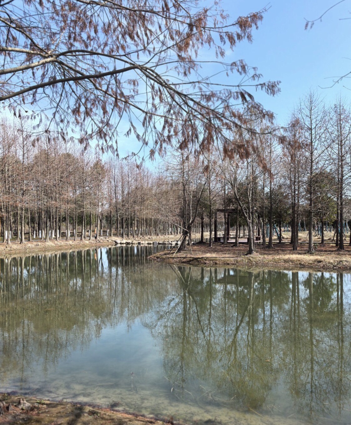 上海浦江郊野公园旅行图片 2