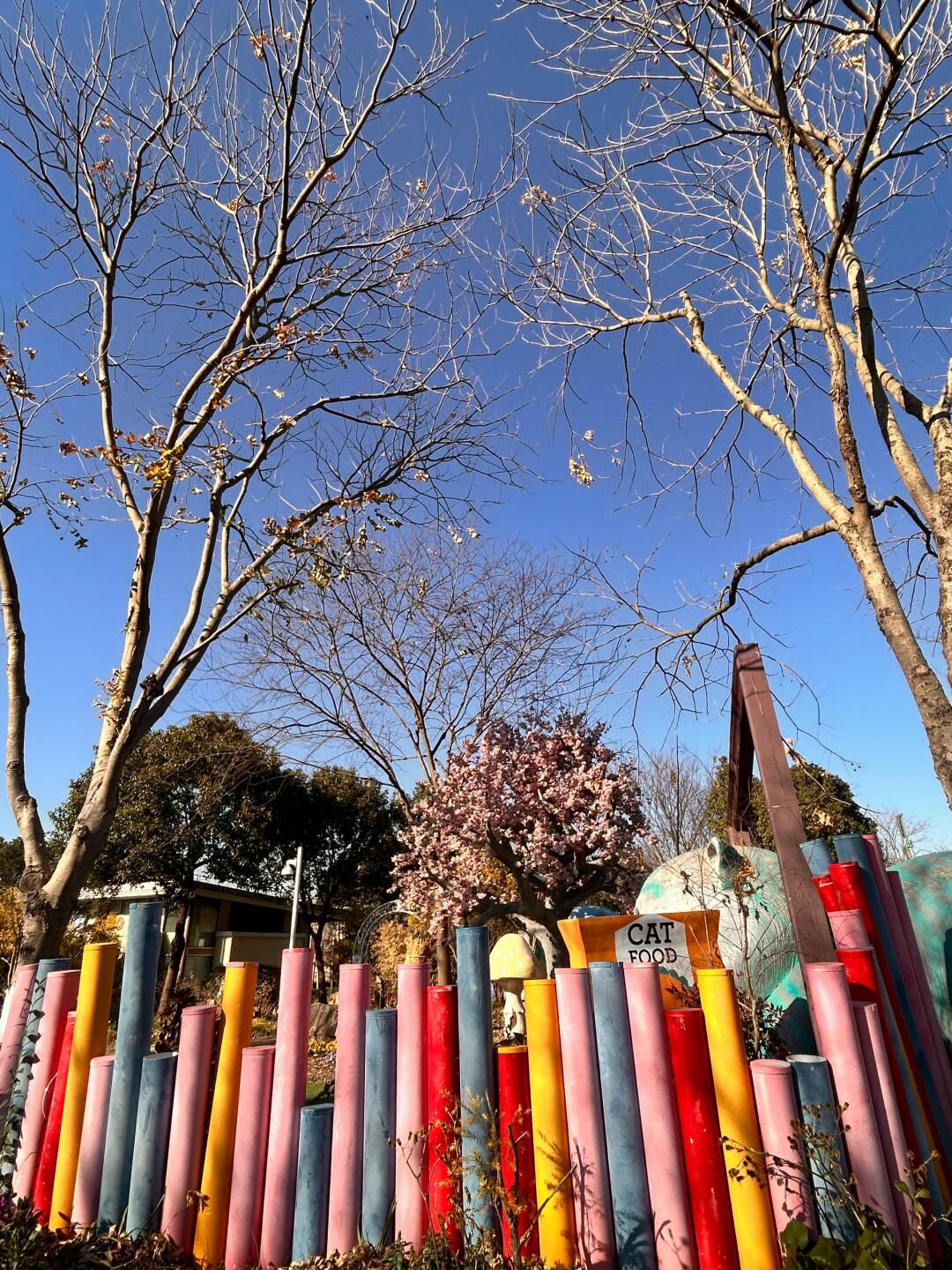 上海浦江郊野公园旅行图片 1