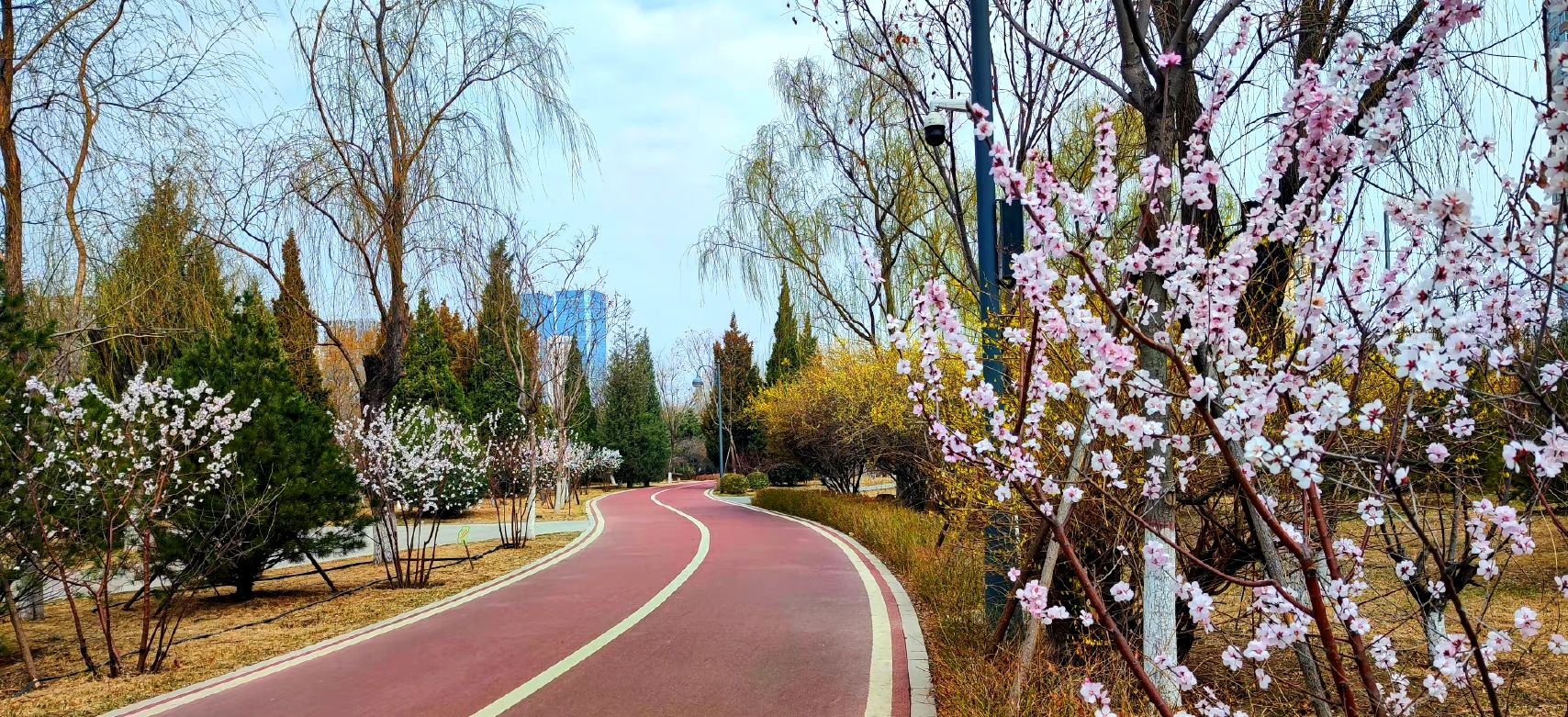 滨河公园旅行图片 1