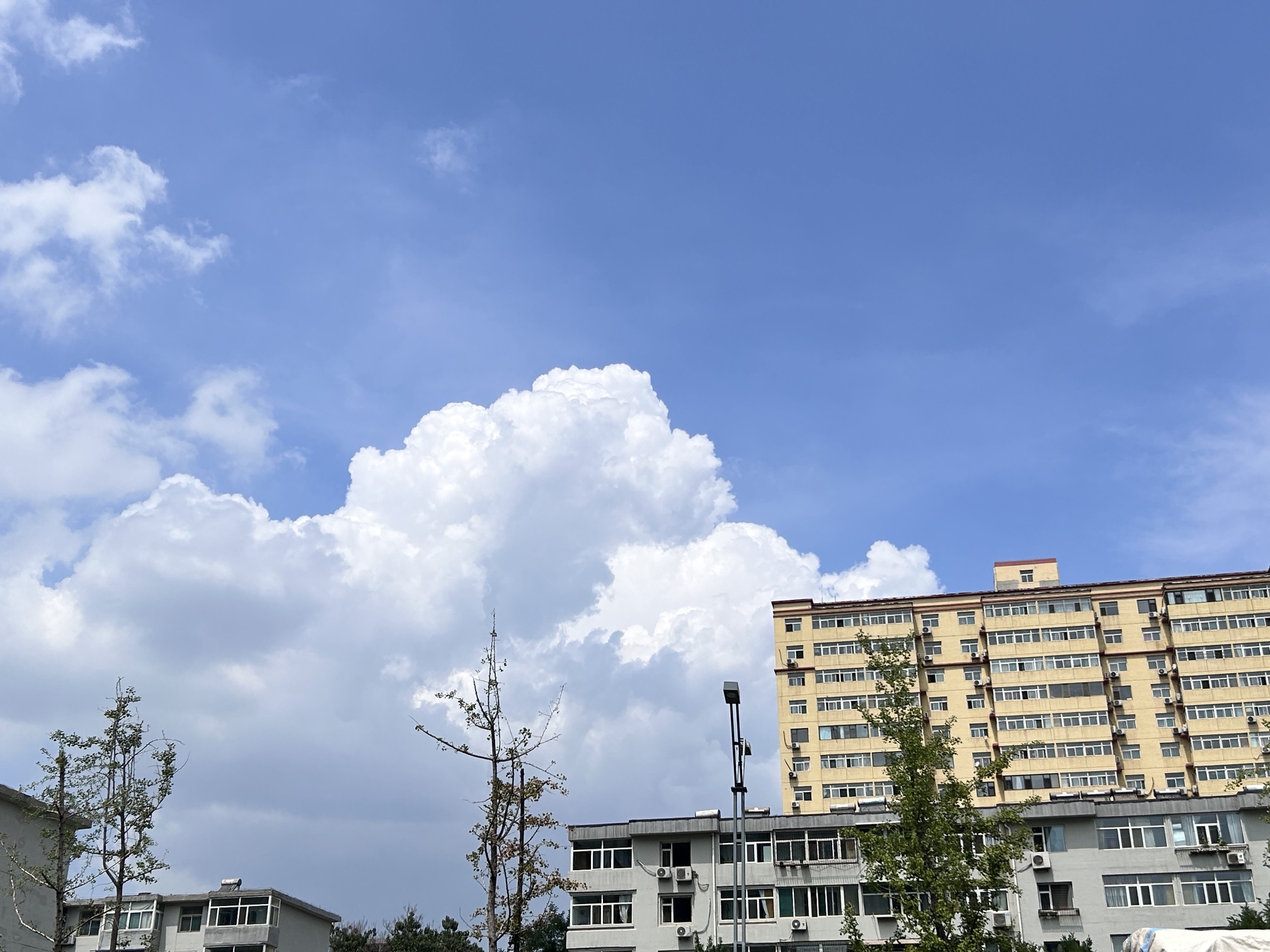 滨河公园旅行图片 2