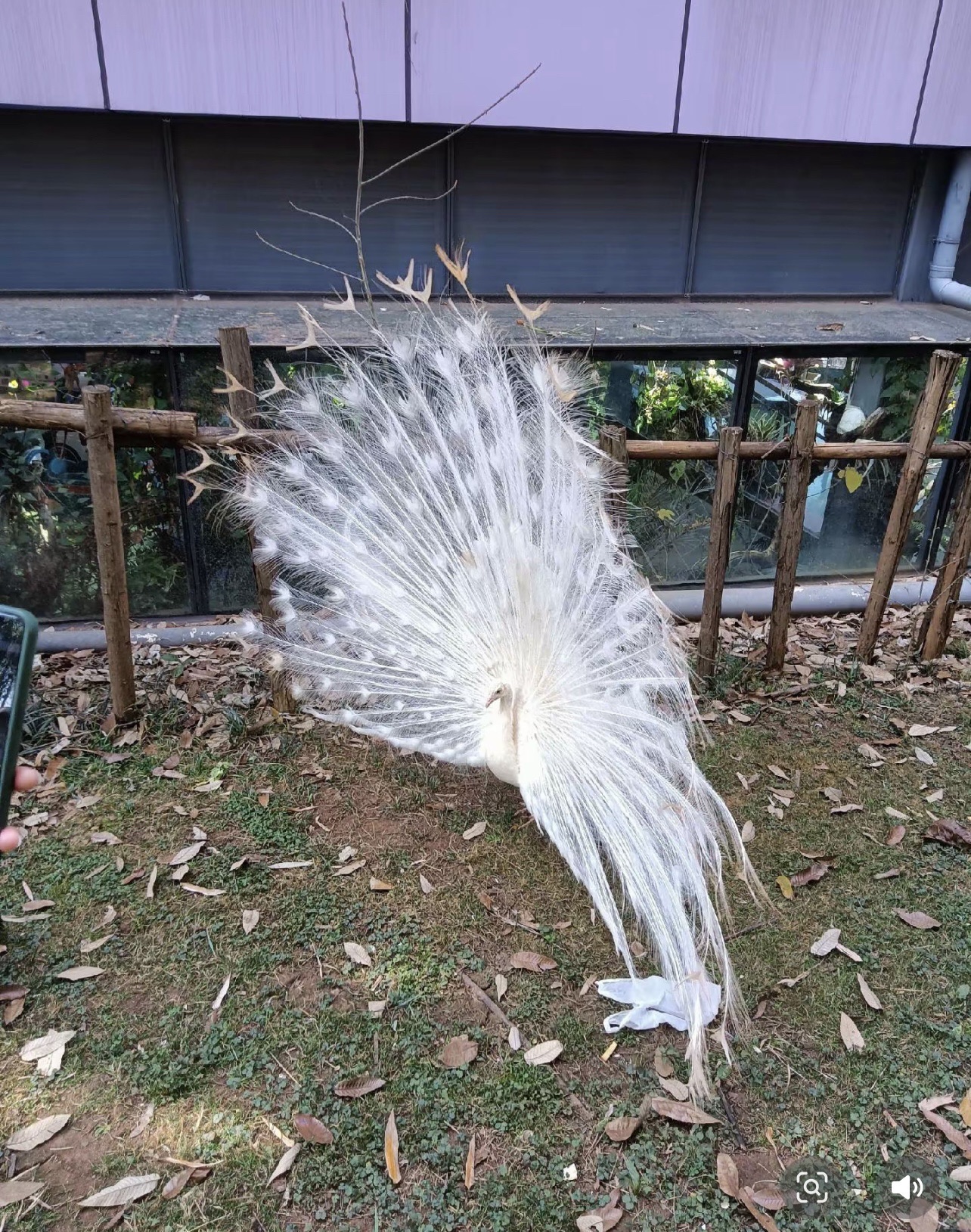 聊城动物园旅行图片 3