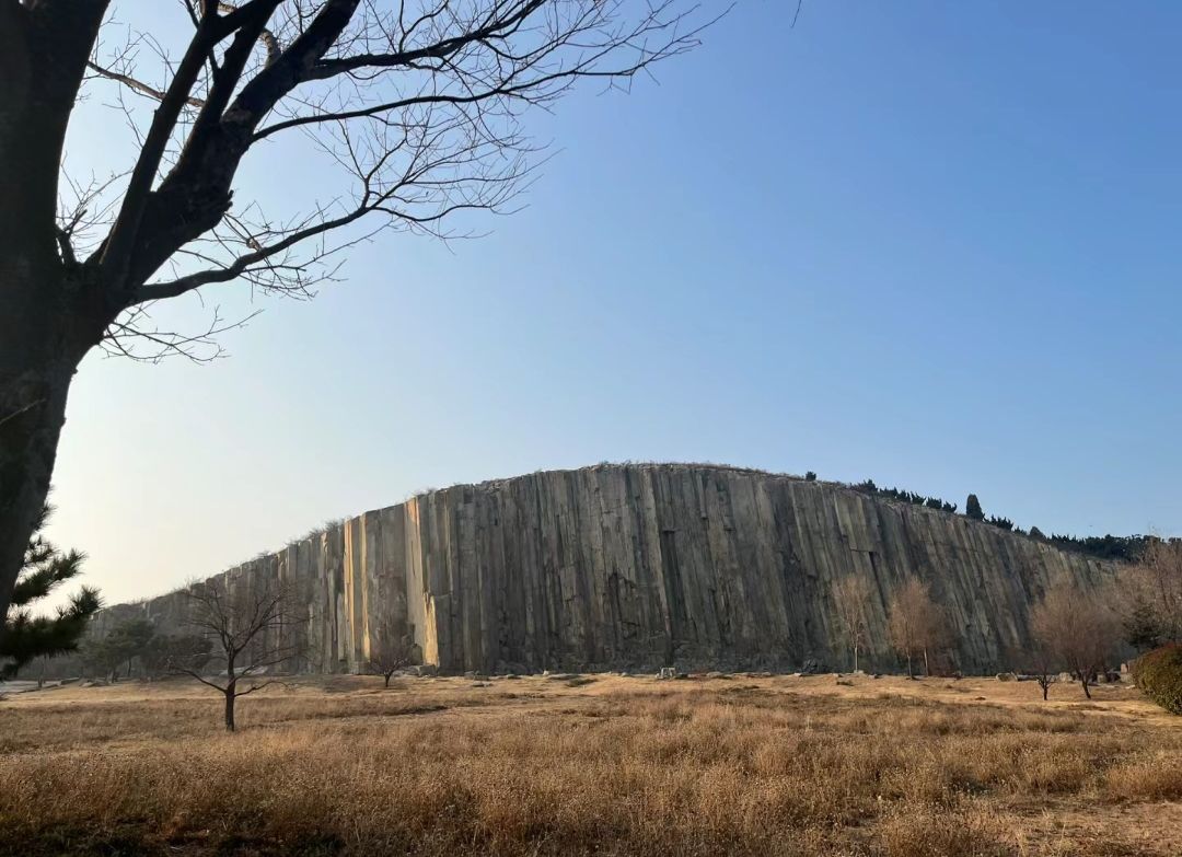 大铜马广场旅行图片 1