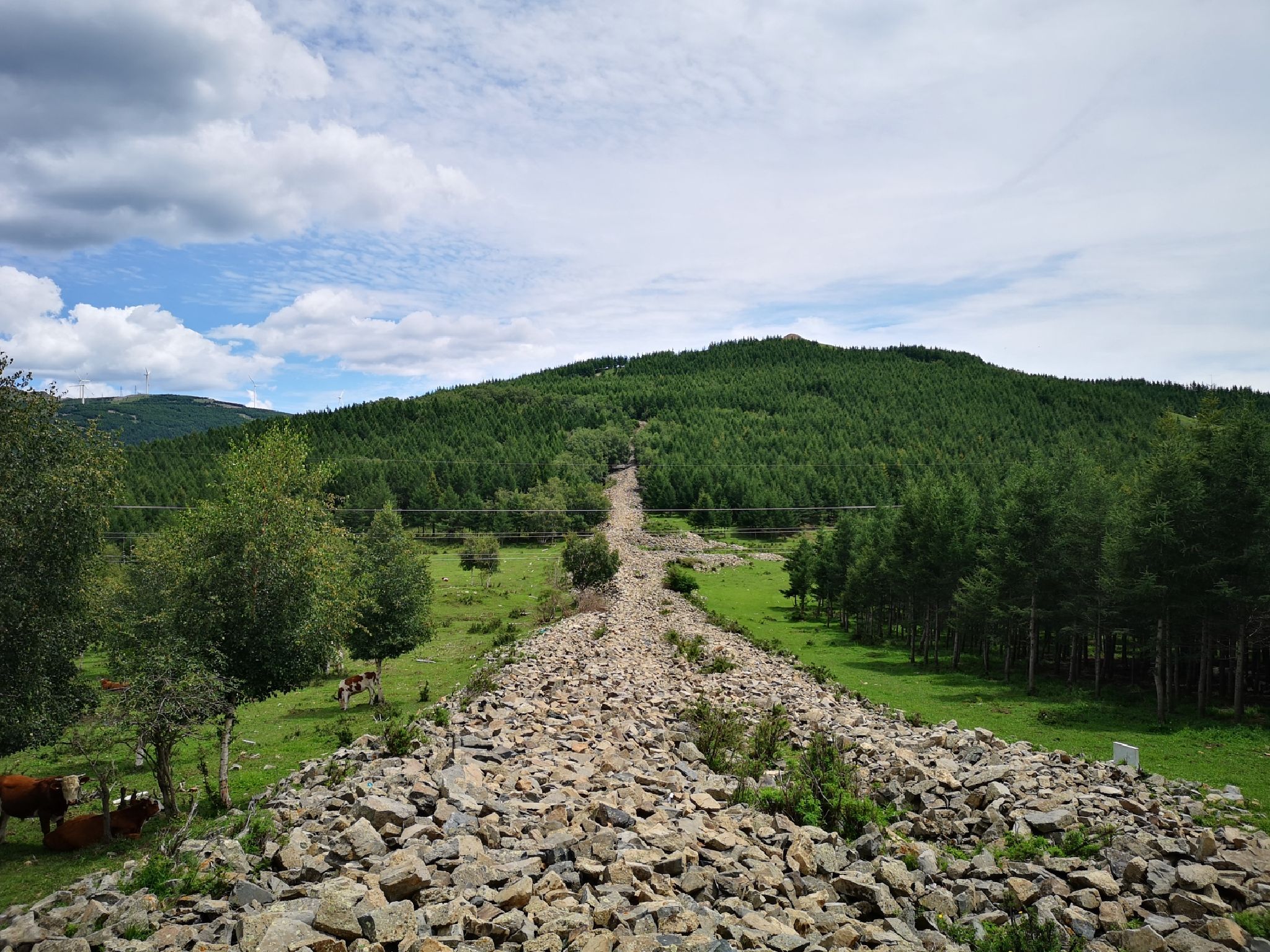 冰山梁风景区旅行图片 1