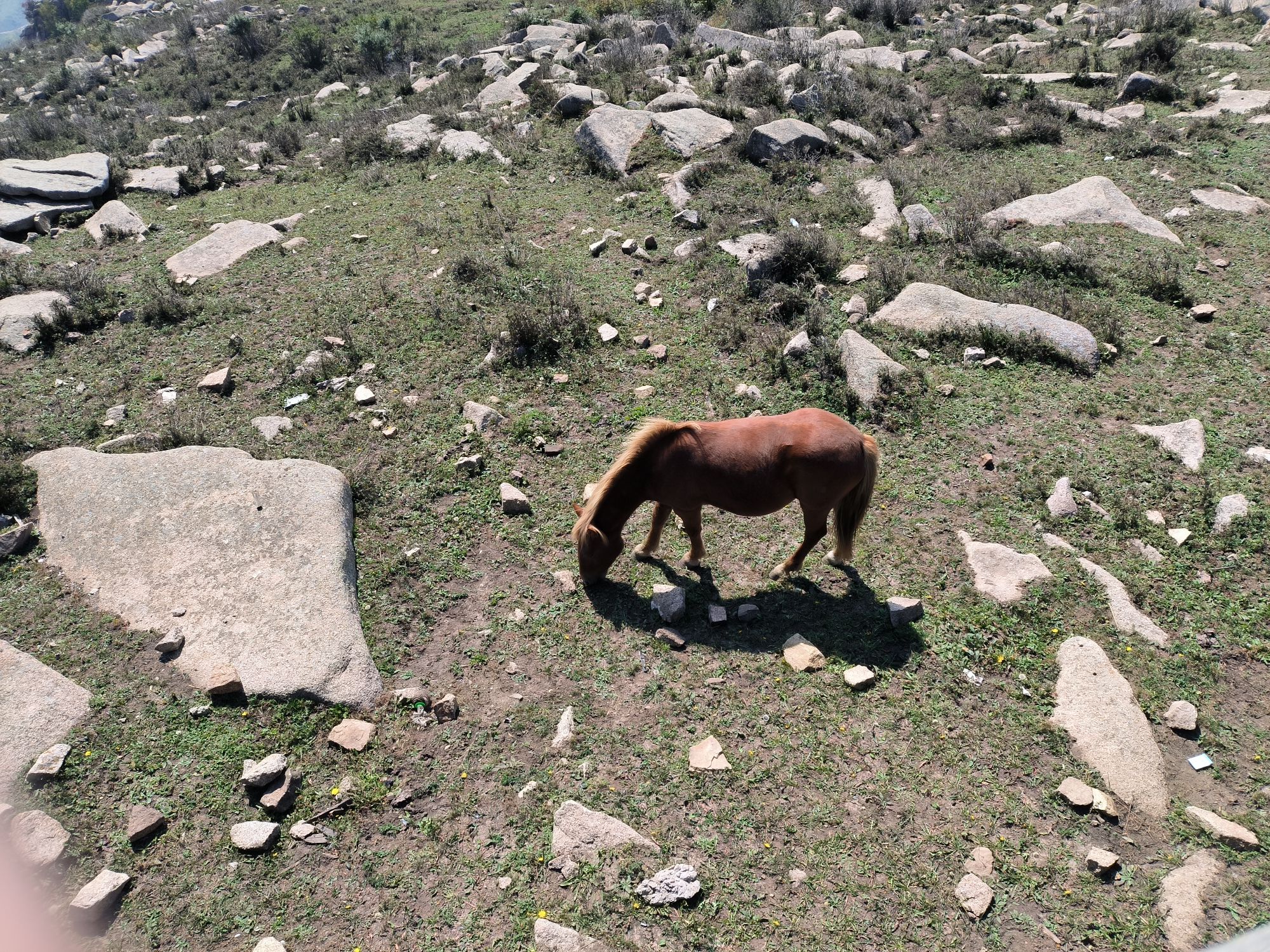 冰山梁风景区旅行图片 3