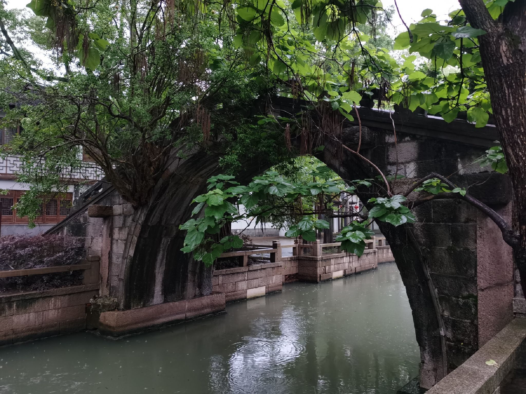 练塘古镇旅行图片 1