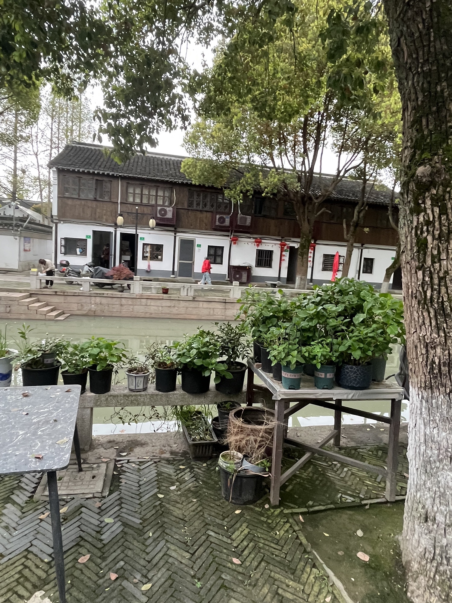 练塘古镇旅行图片 3