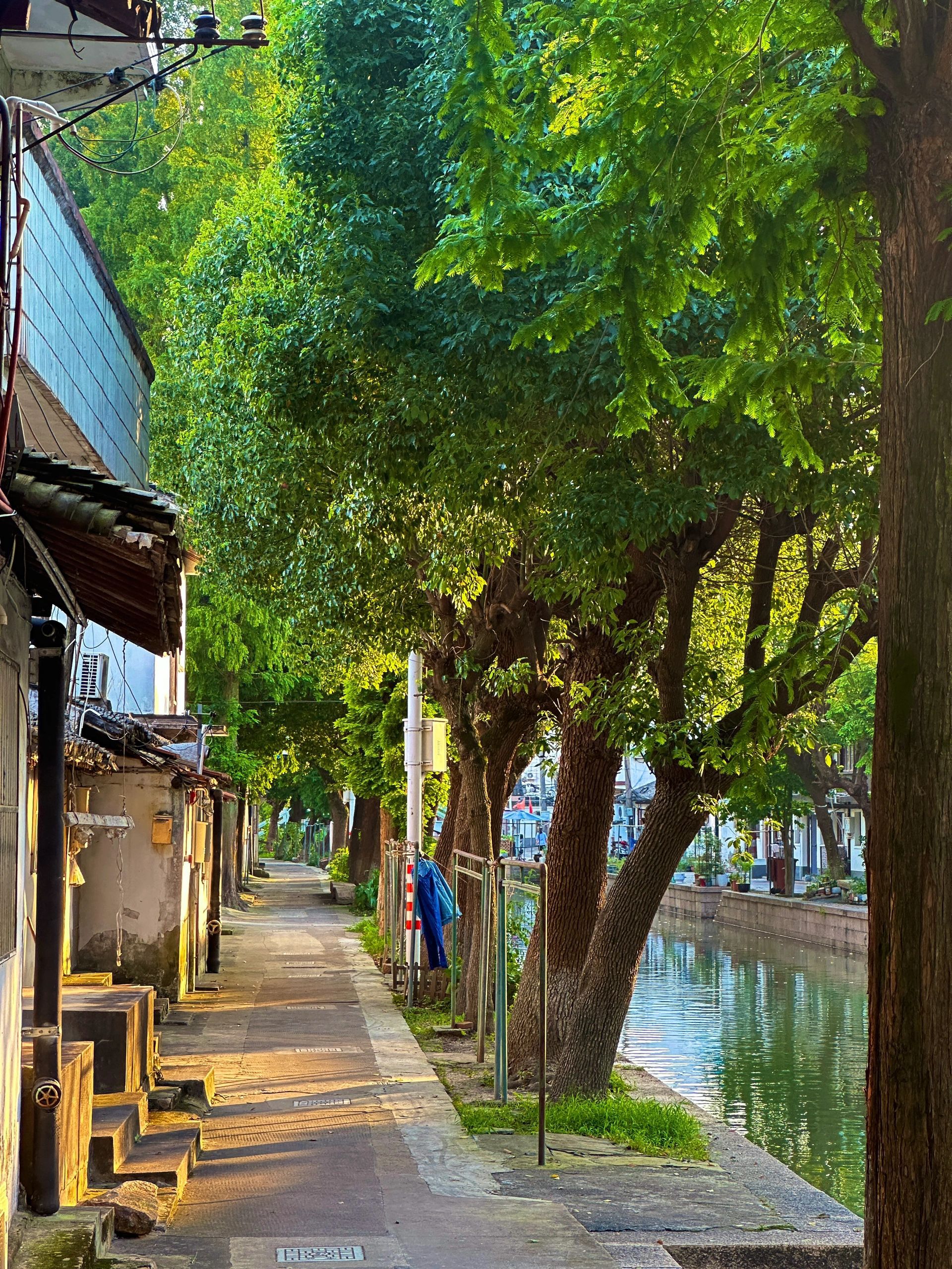 练塘古镇旅行图片 3