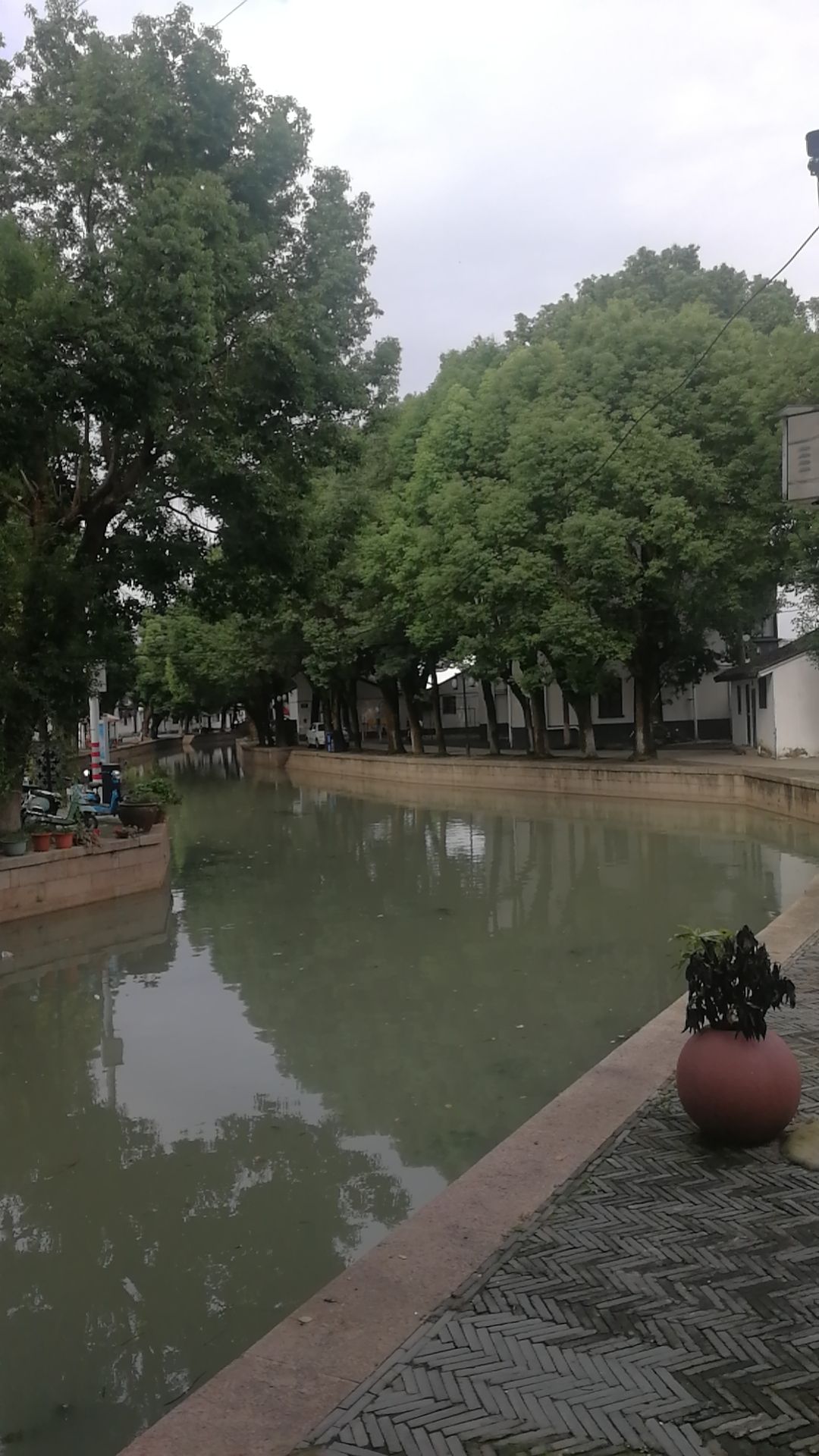 练塘古镇旅行图片 1