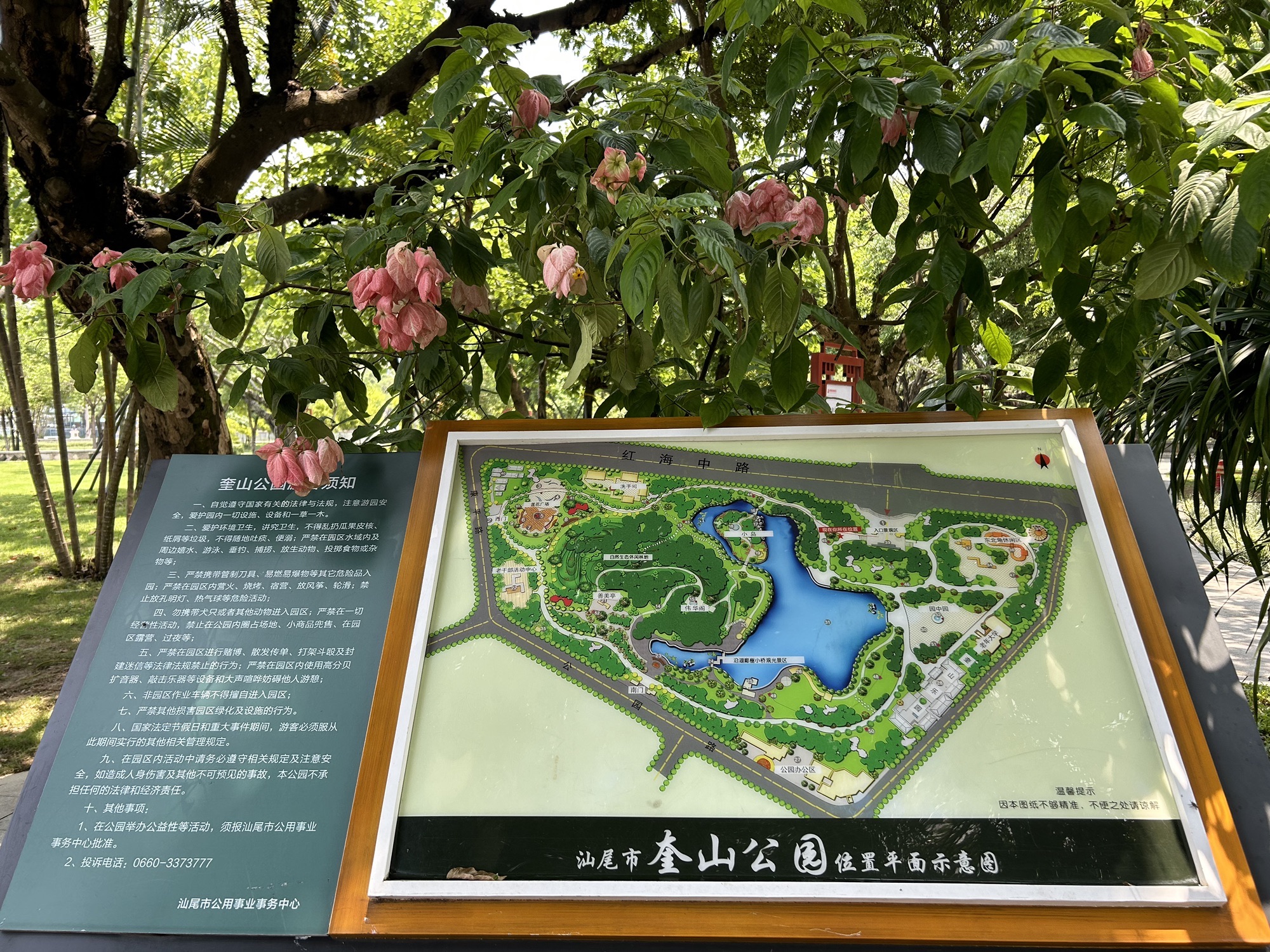 奎山公园旅行图片 2