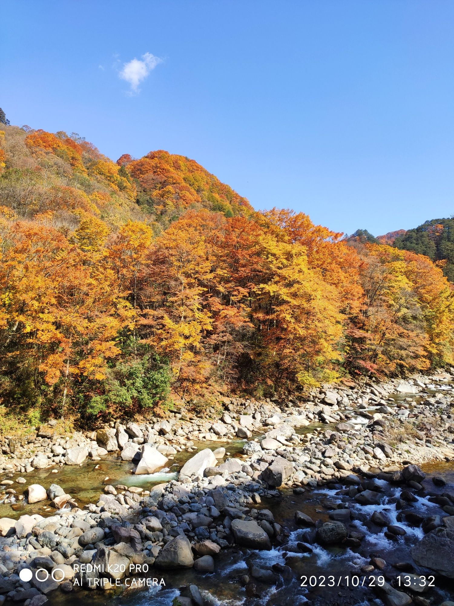 米仓山国家森林公园旅行图片 1