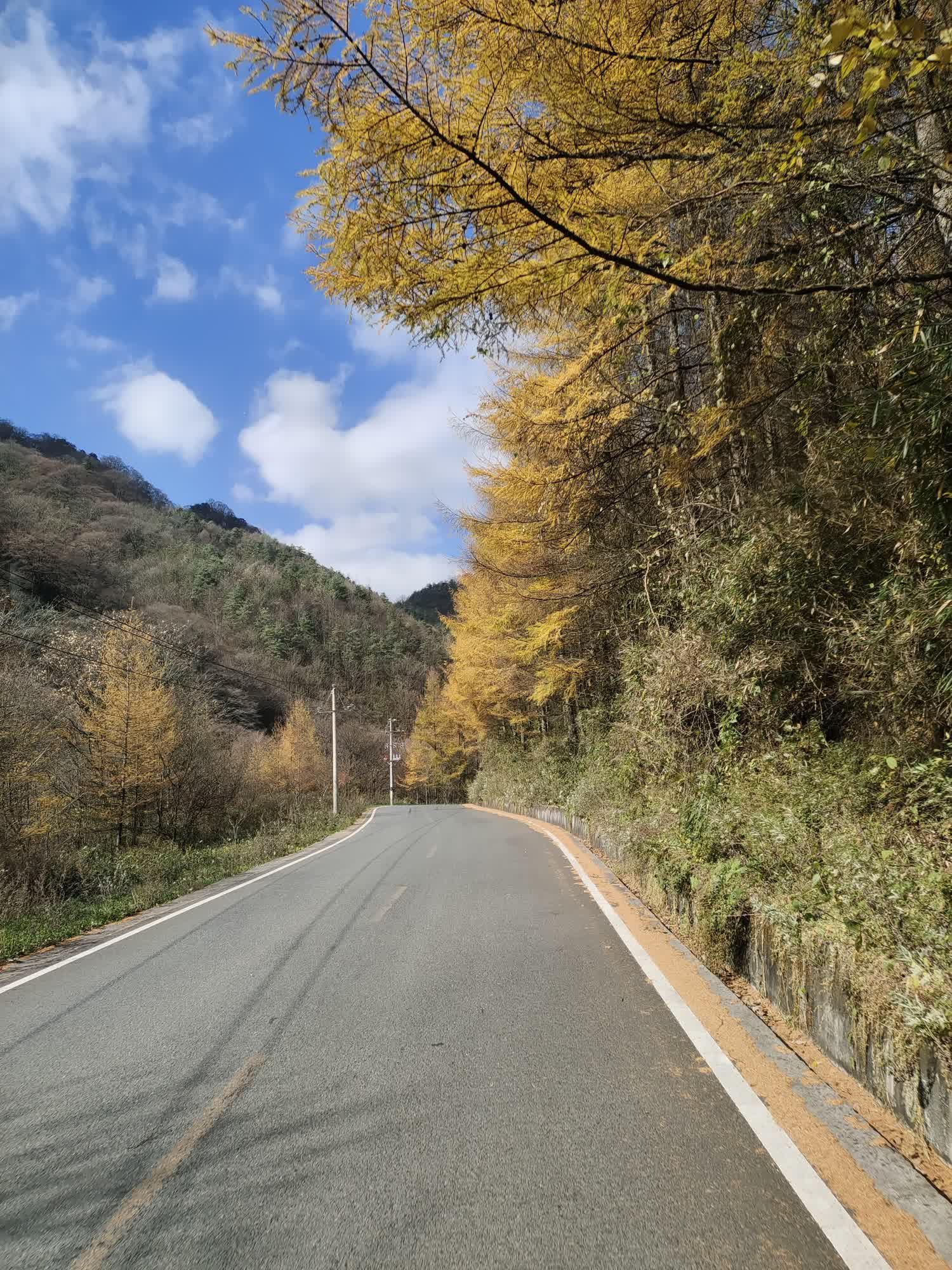 米仓山国家森林公园旅行图片 3