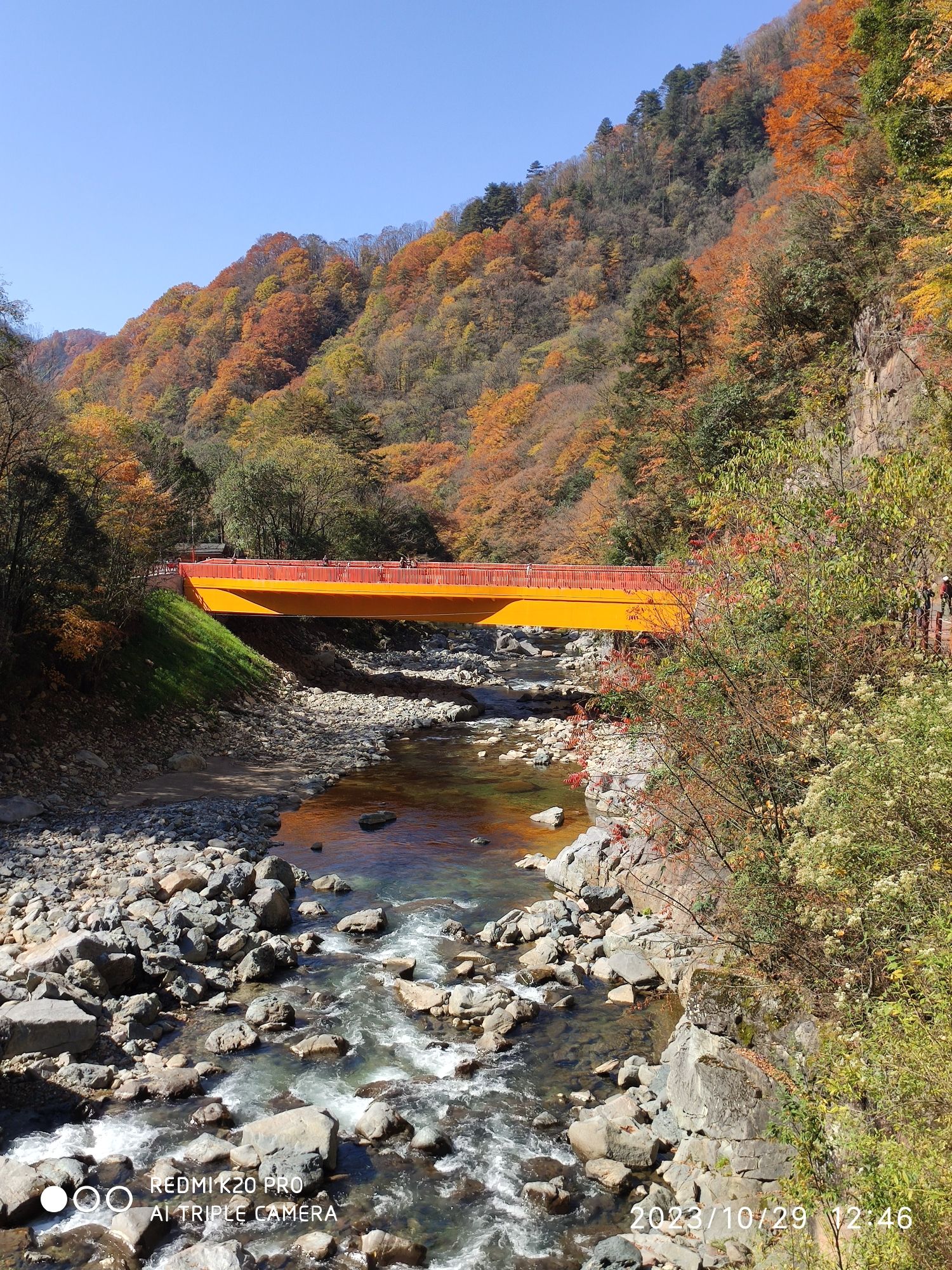 米仓山国家森林公园旅行图片 2