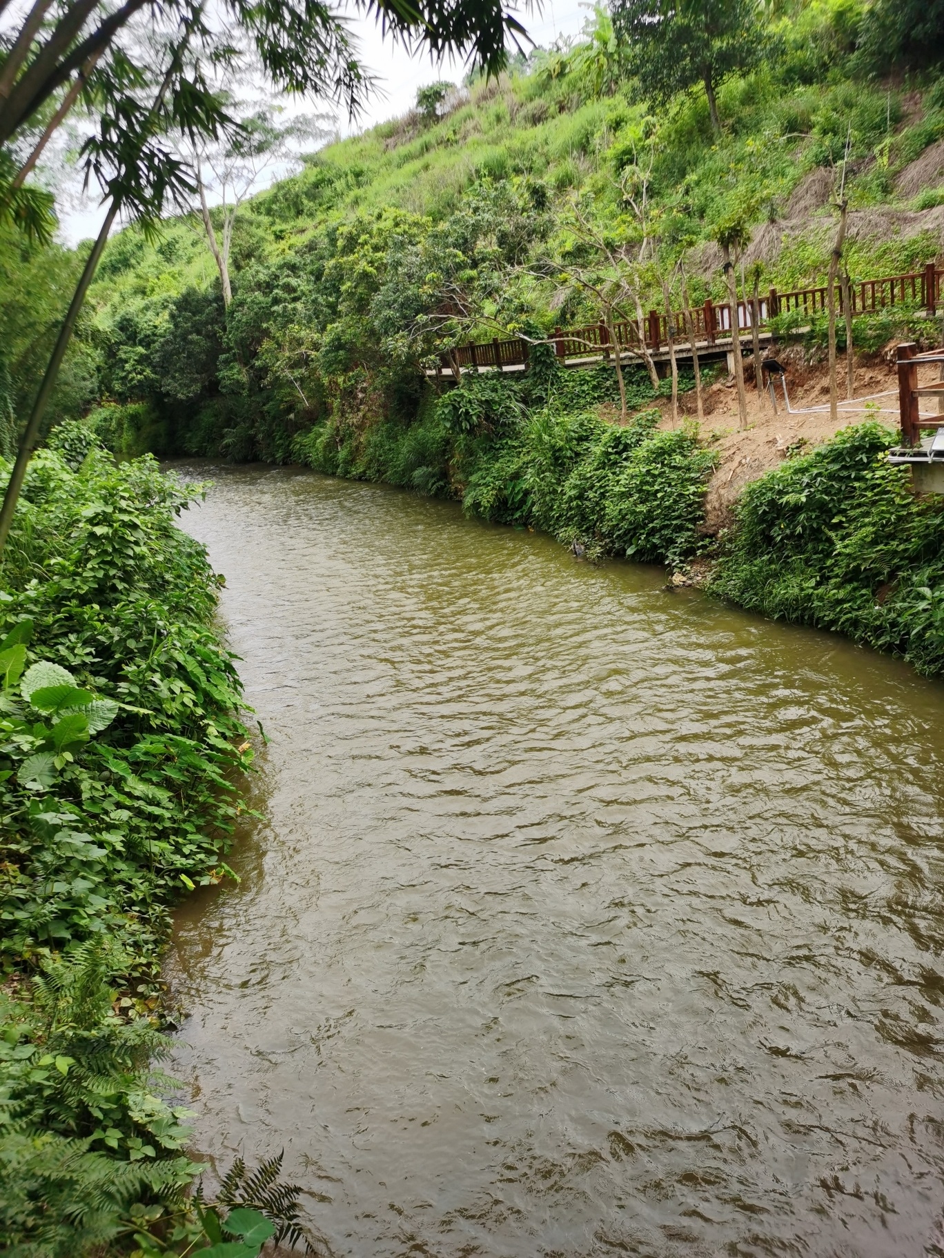 旺同公园旅行图片 1
