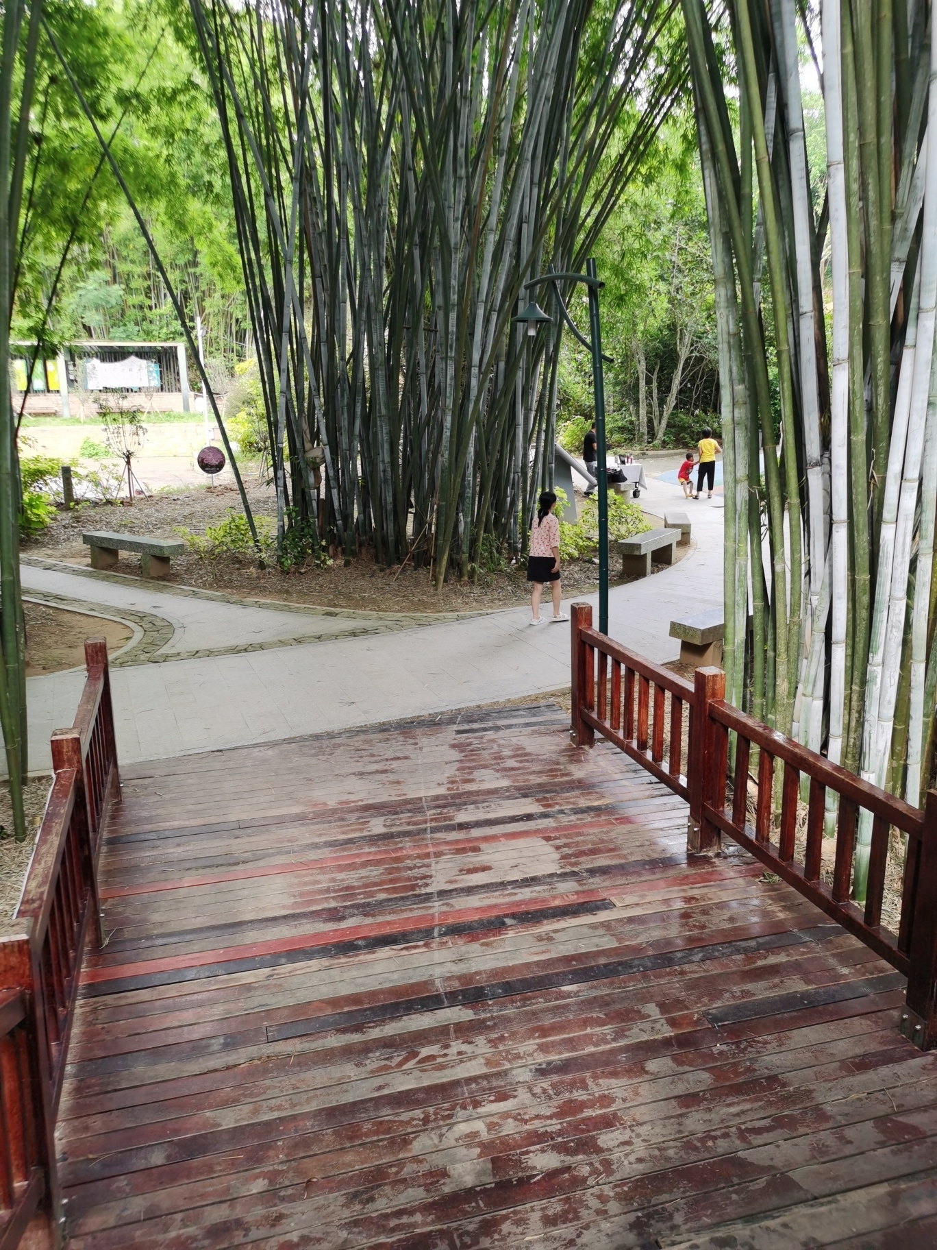 旺同公园旅行图片 3