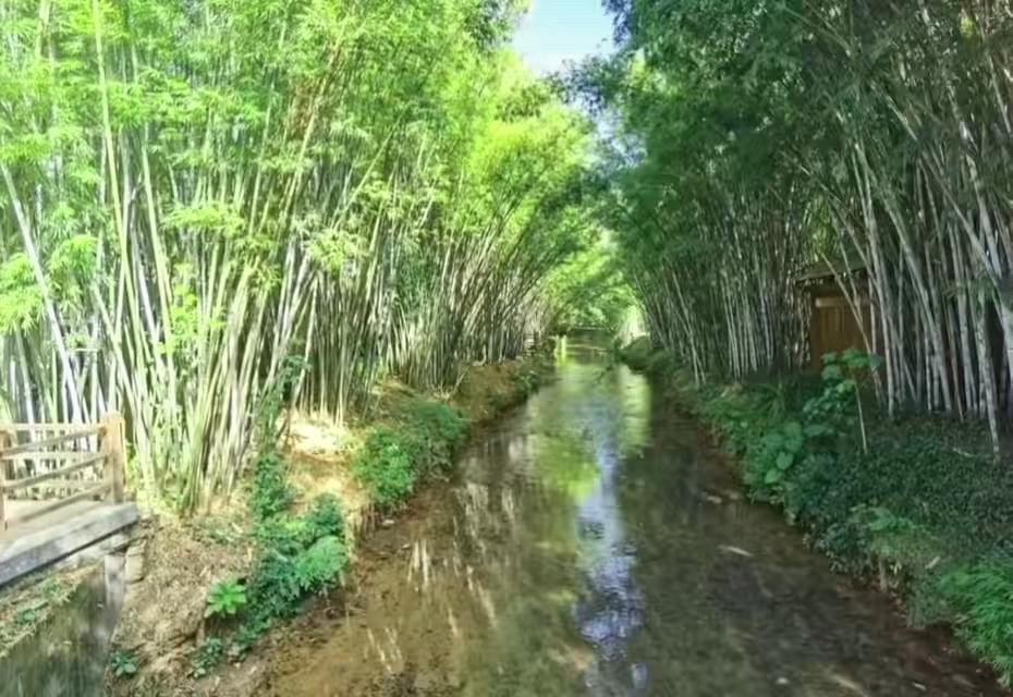旺同公园旅行图片 2