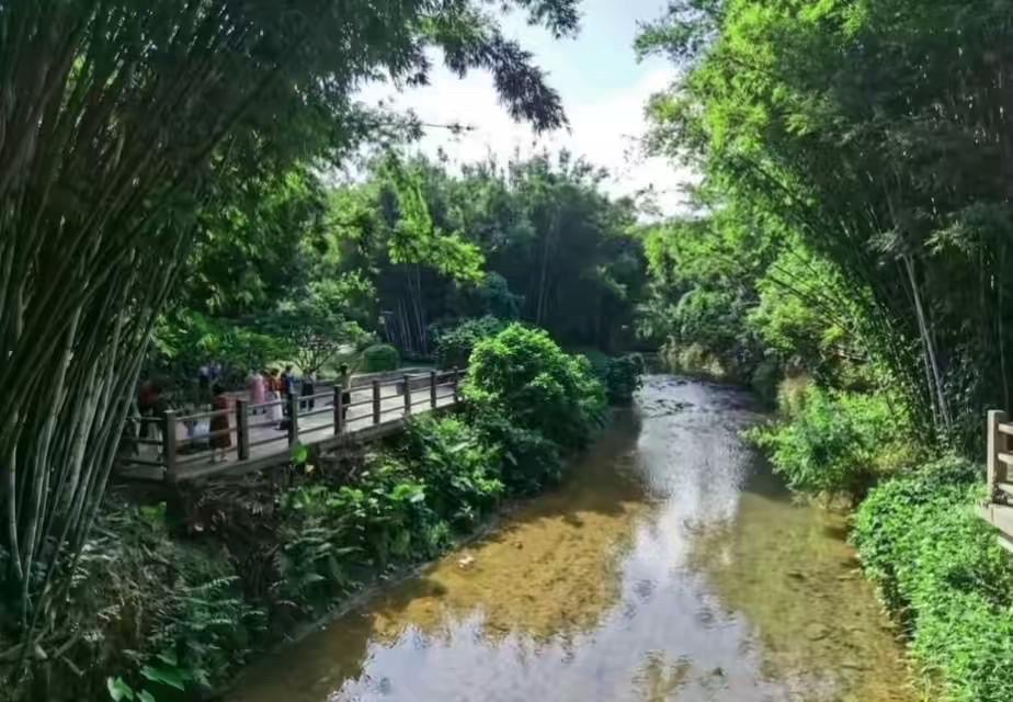 旺同公园旅行图片 3