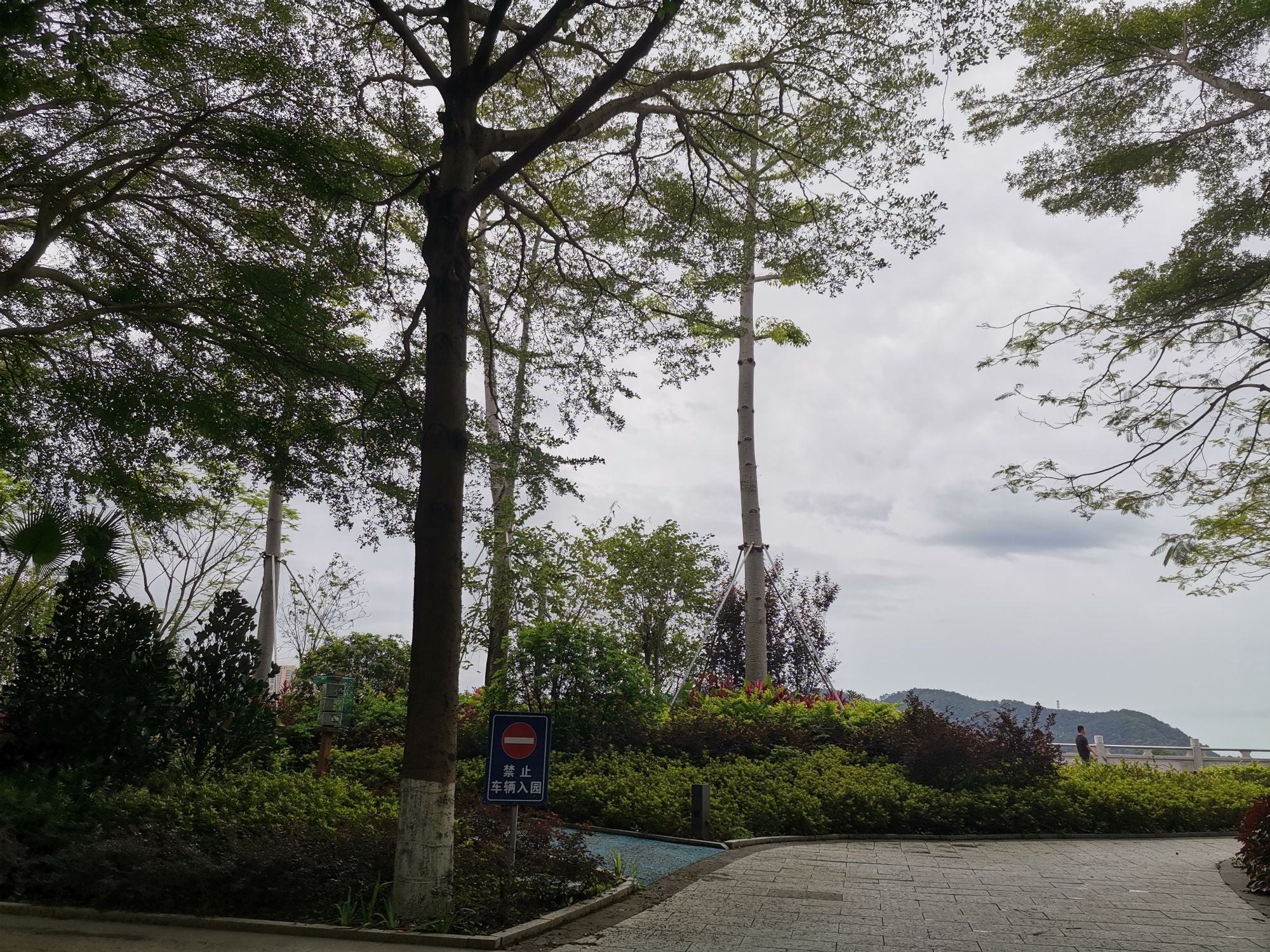 西堤公园(西堤二路)旅行图片 1
